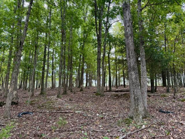 12528 County Road 610 Property Photo 47