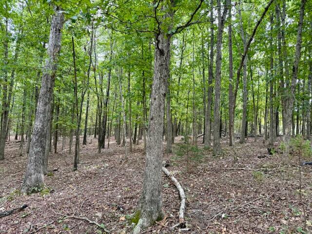 12528 County Road 610 Property Photo 48