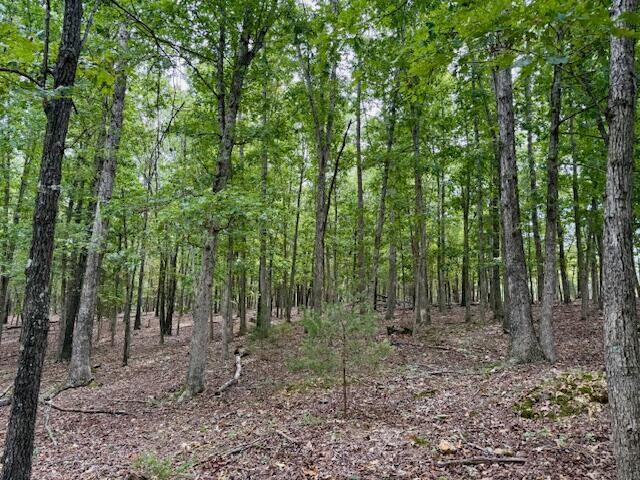 12528 County Road 610 Property Photo 49