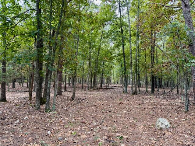 12528 County Road 610 Property Photo 50