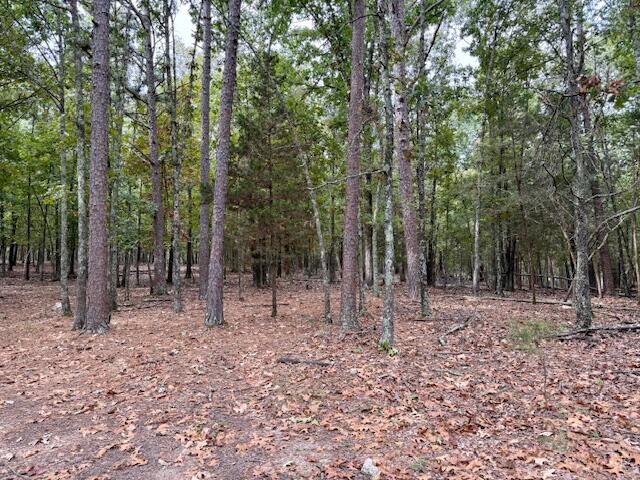 12528 County Road 610 Property Photo 51