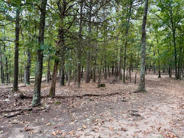 12528 County Road 610 Property Photo 52