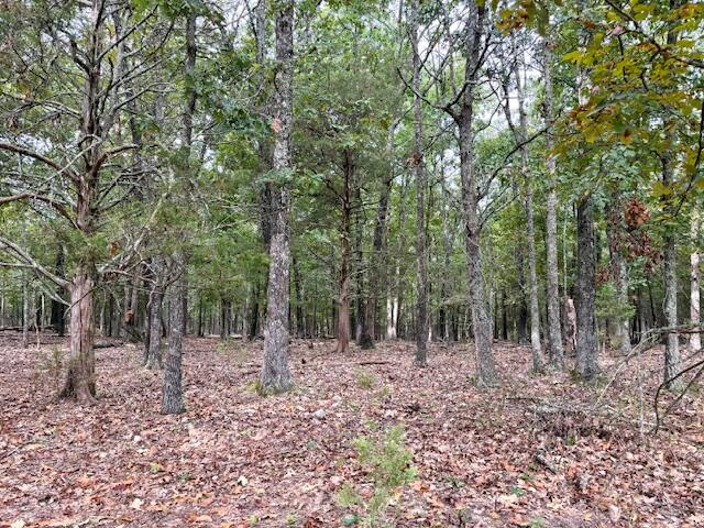 12528 County Road 610 Property Photo 53