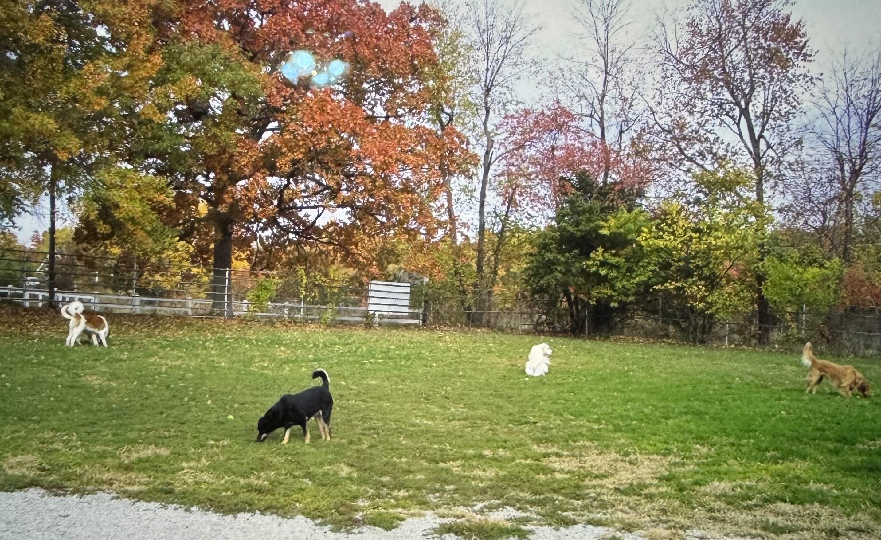 1642 West Inman Road Property Photo 25