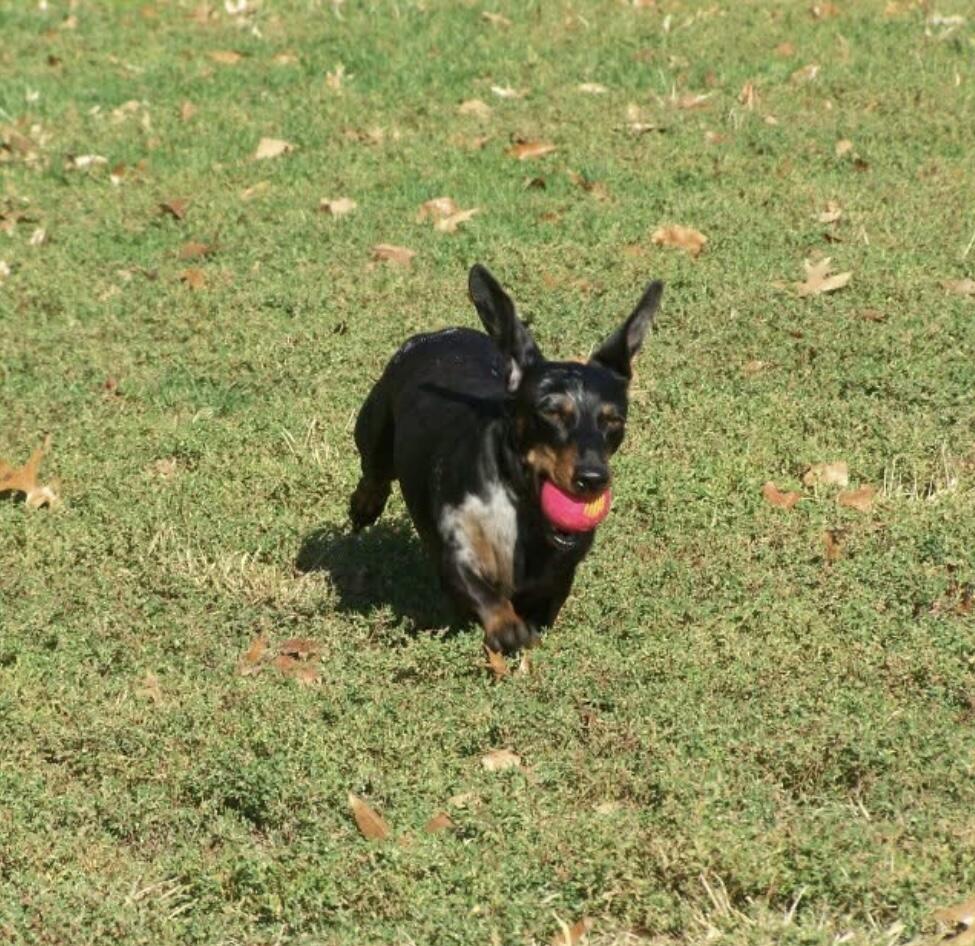 1642 West Inman Road Property Photo 26