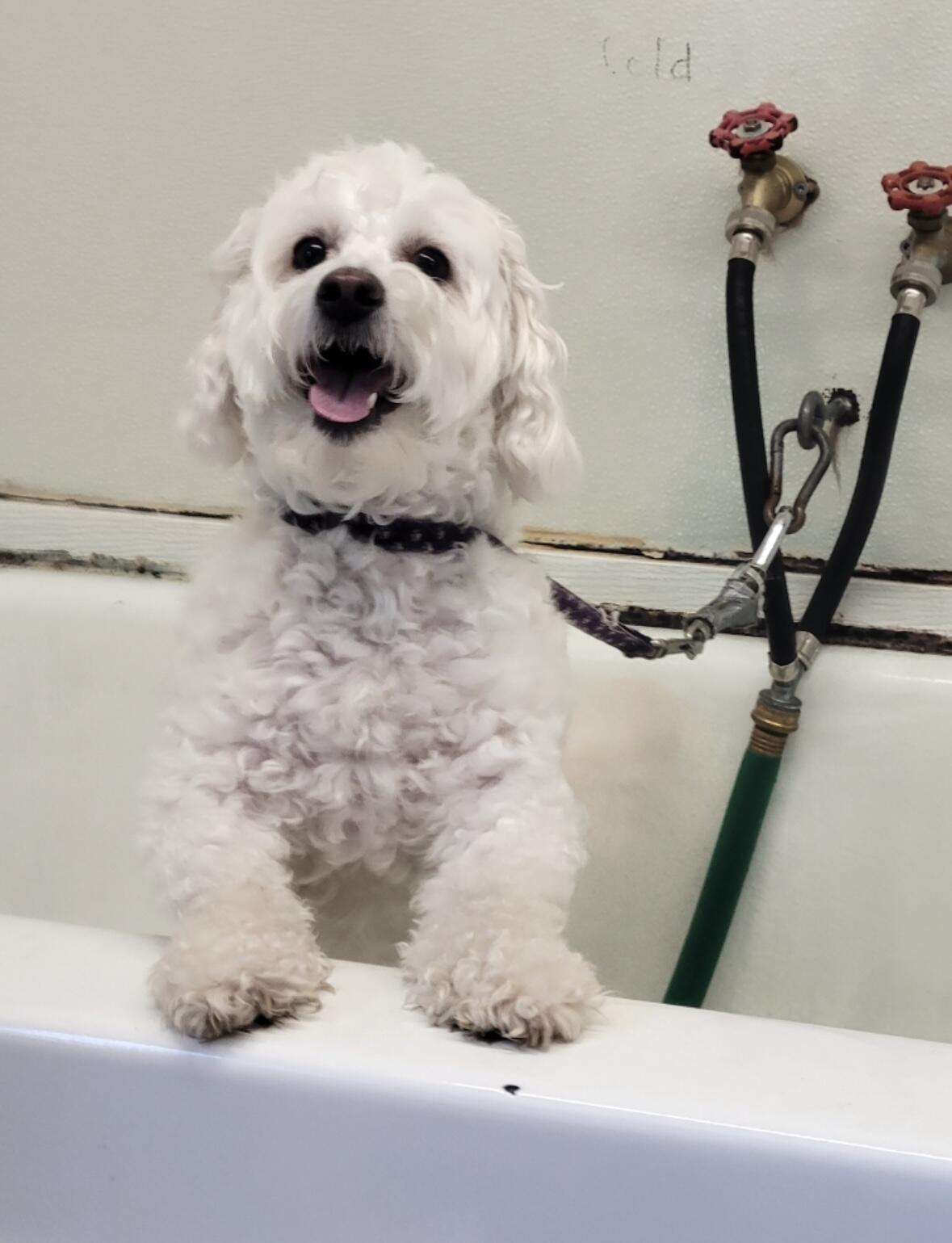 1642 West Inman Road Property Photo 32