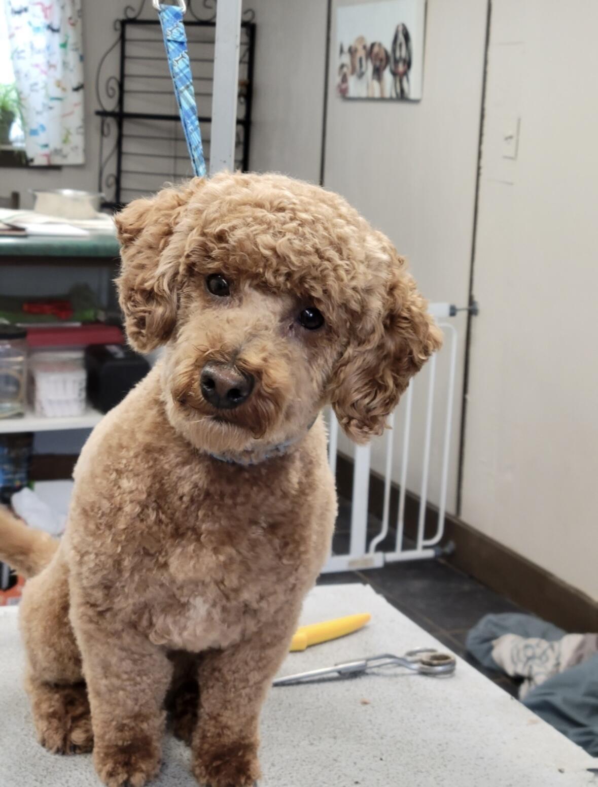 1642 West Inman Road Property Photo 33