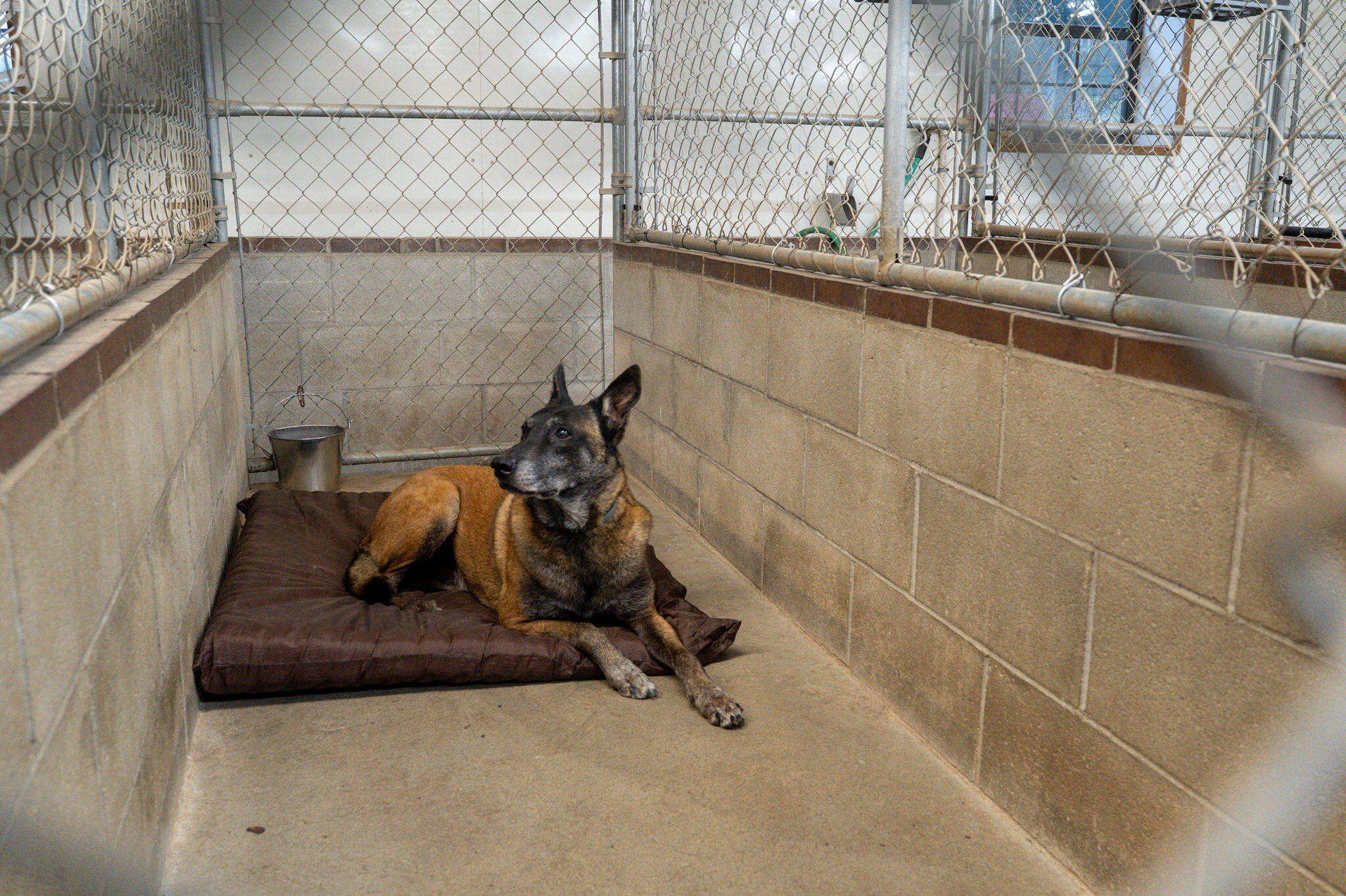 1642 West Inman Road Property Photo 34