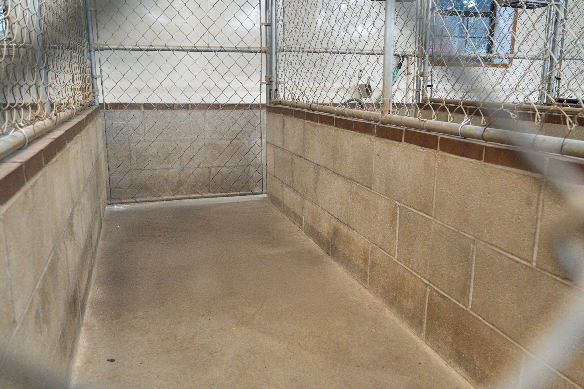 1642 West Inman Road Property Photo 35