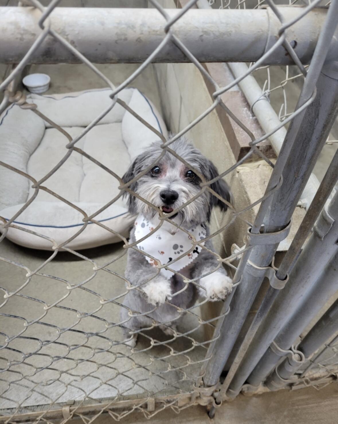 1642 West Inman Road Property Photo 36