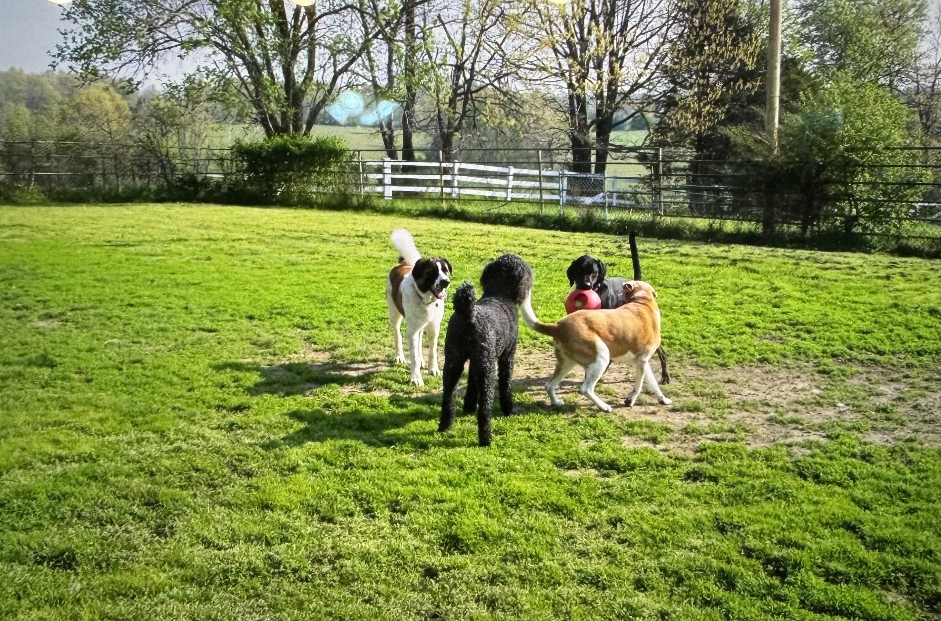 1642 West Inman Road Property Photo 44