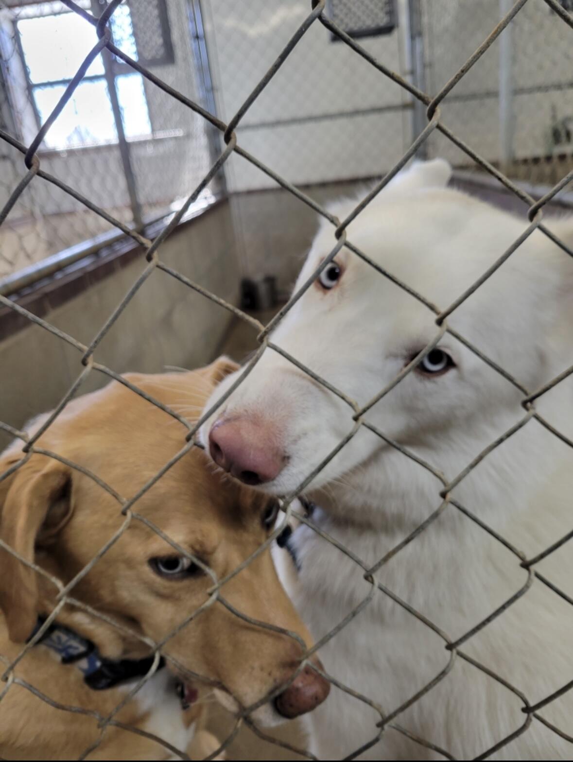 1642 West Inman Road Property Photo 45