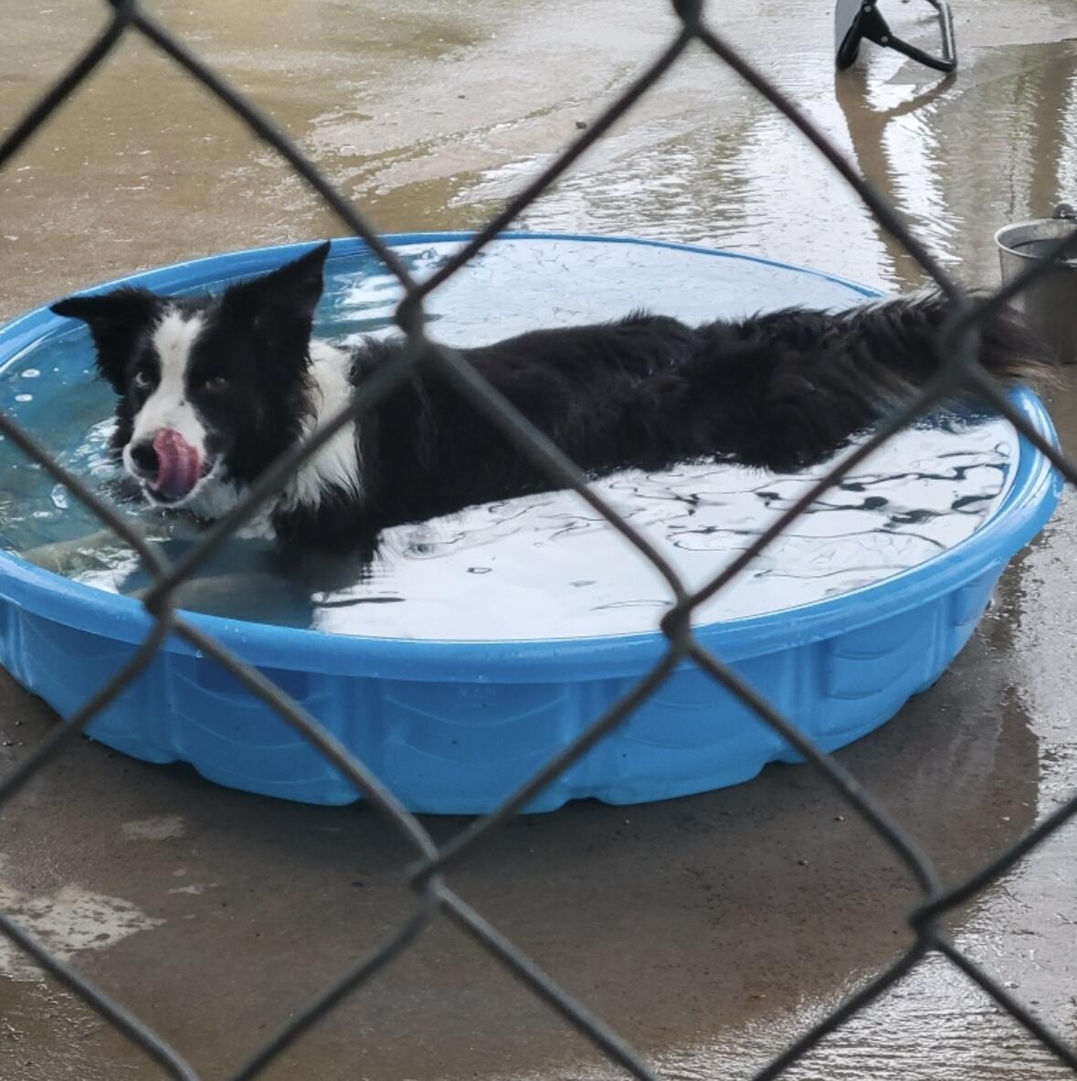 1642 West Inman Road Property Photo 46