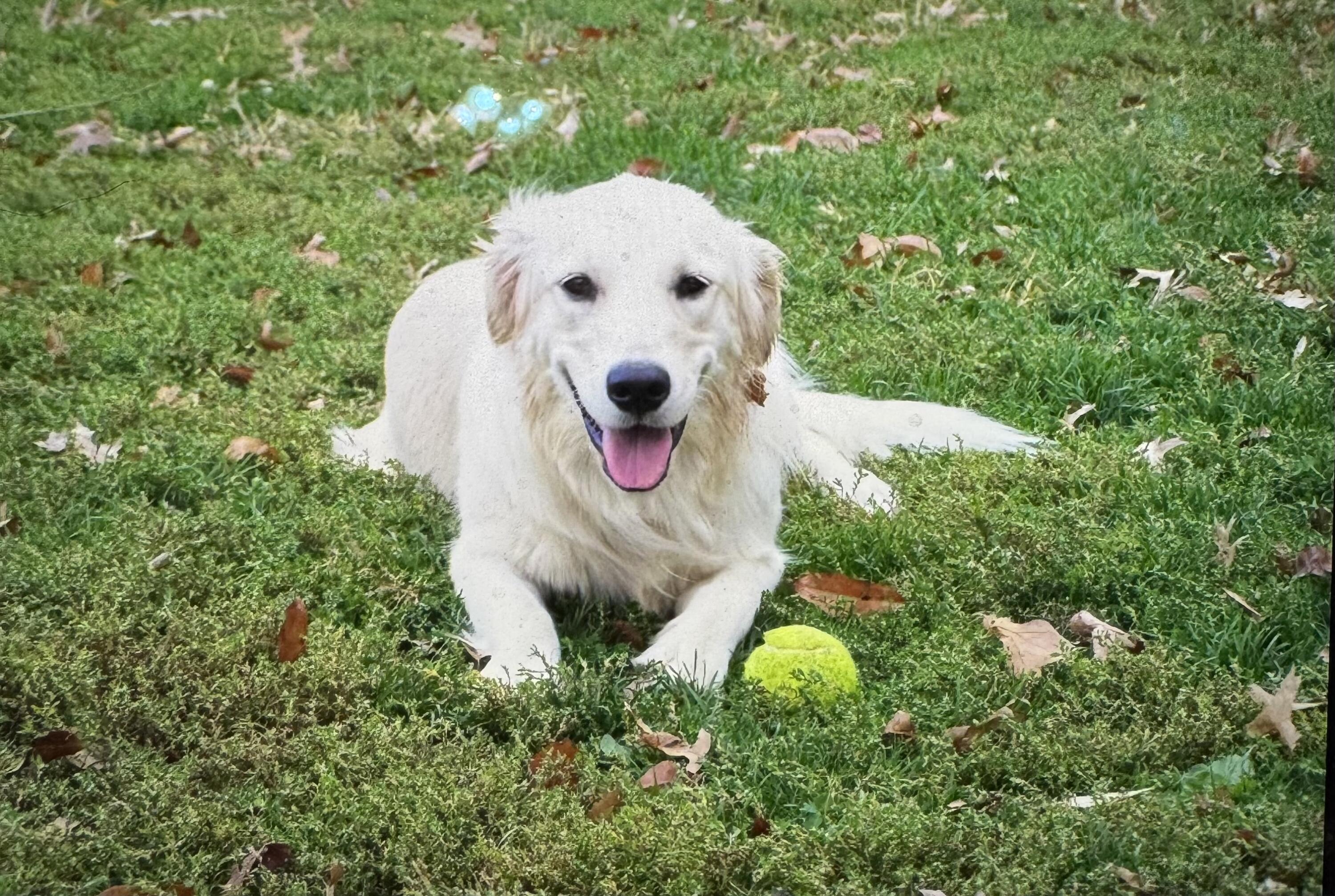 1642 West Inman Road Property Photo 48