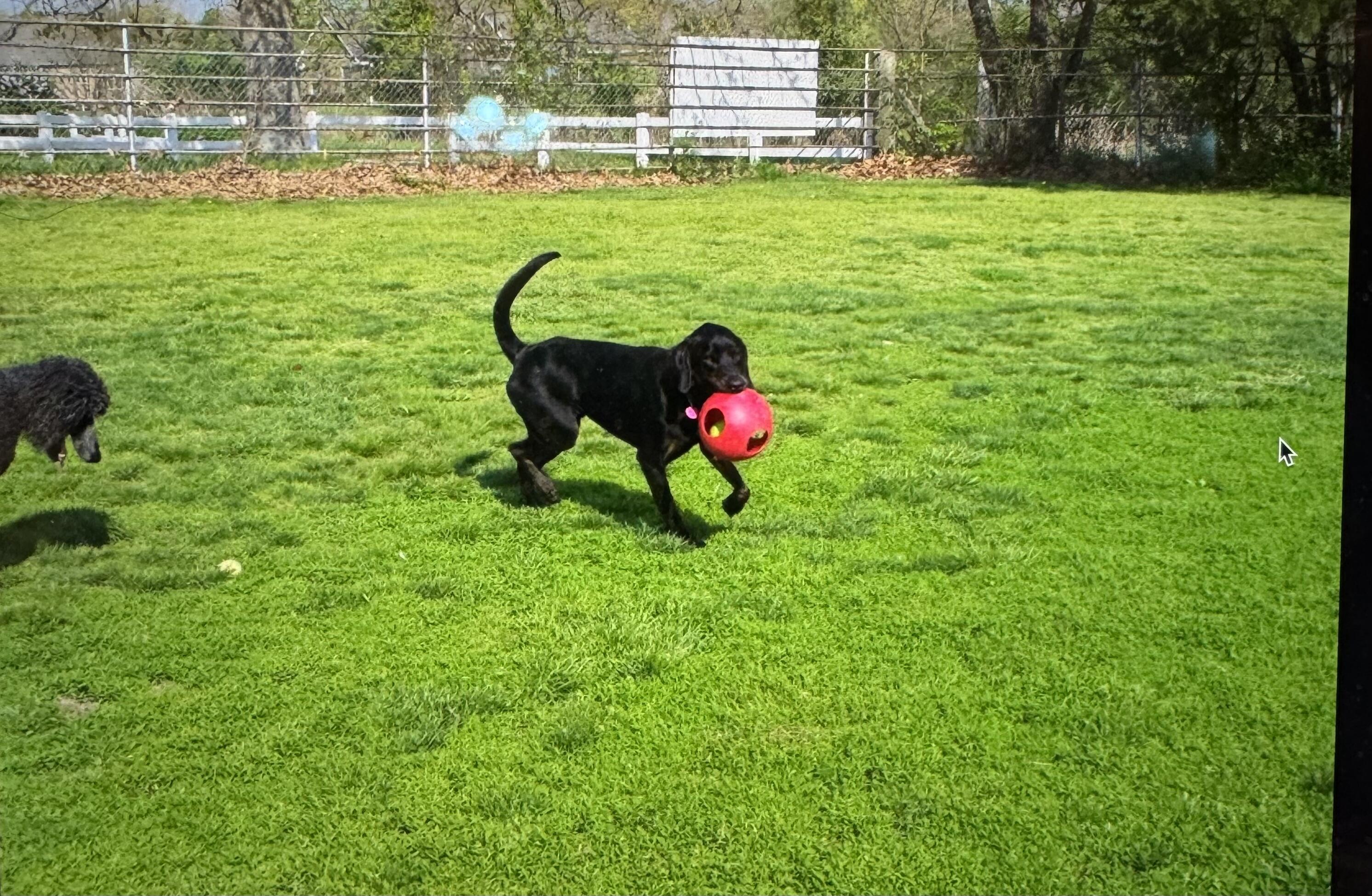 1642 West Inman Road Property Photo 54
