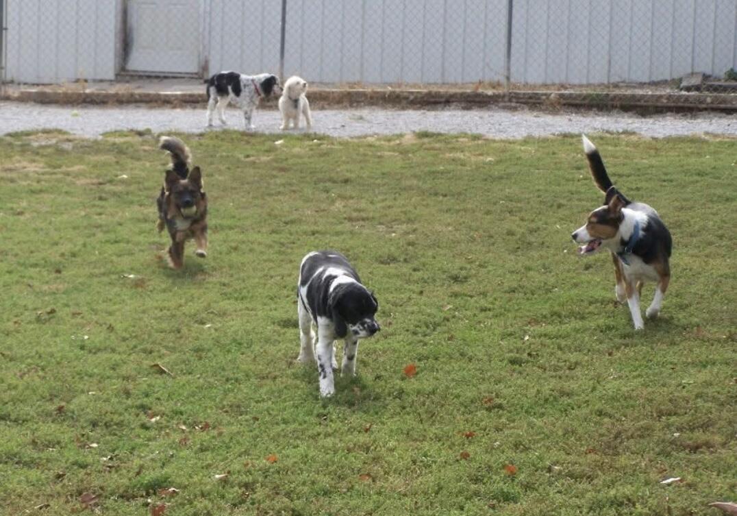 1642 West Inman Road Property Photo 55