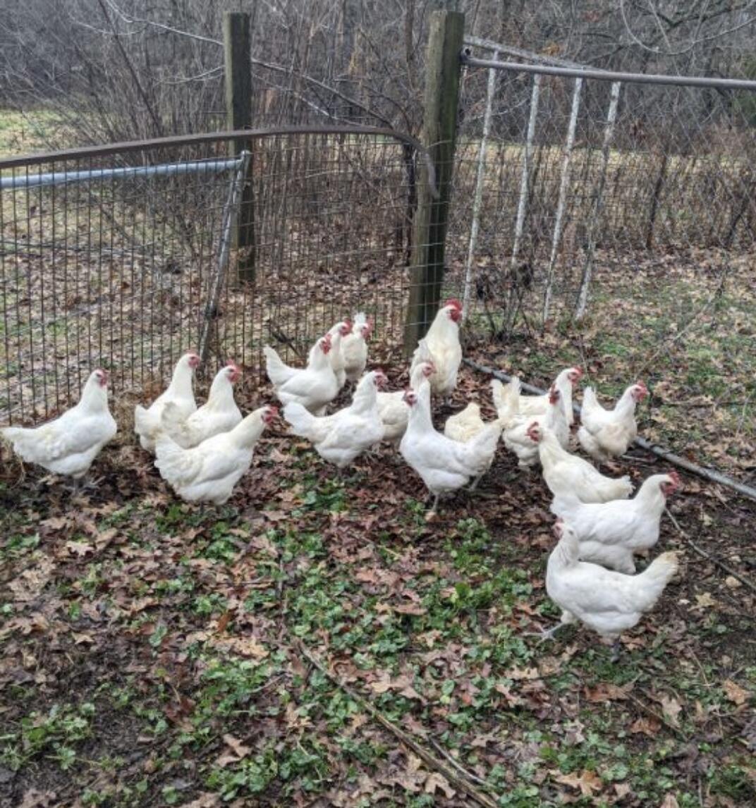 1642 West Inman Road Property Photo 60