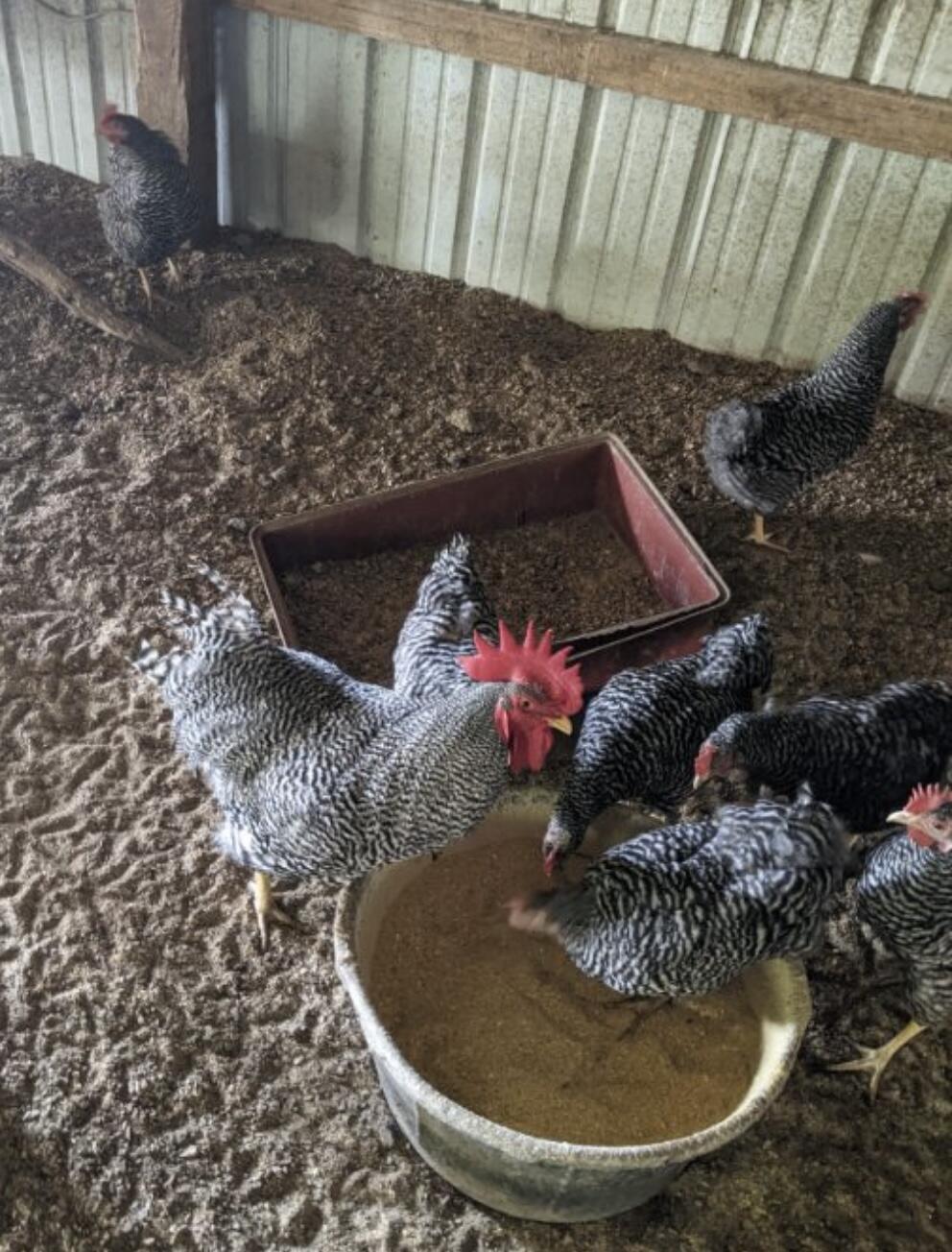 1642 West Inman Road Property Photo 61