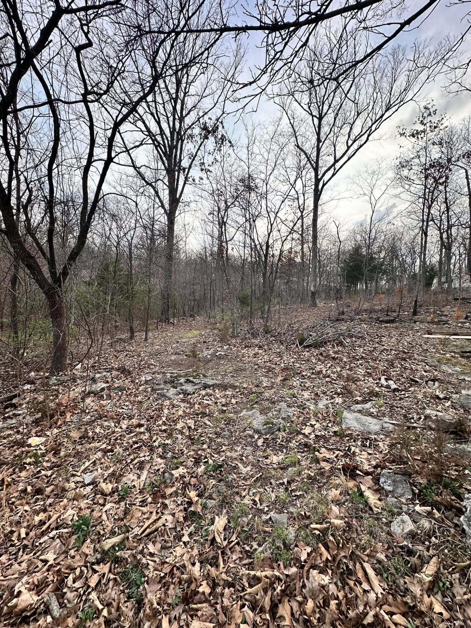 29743 Glendale Road Property Photo 5