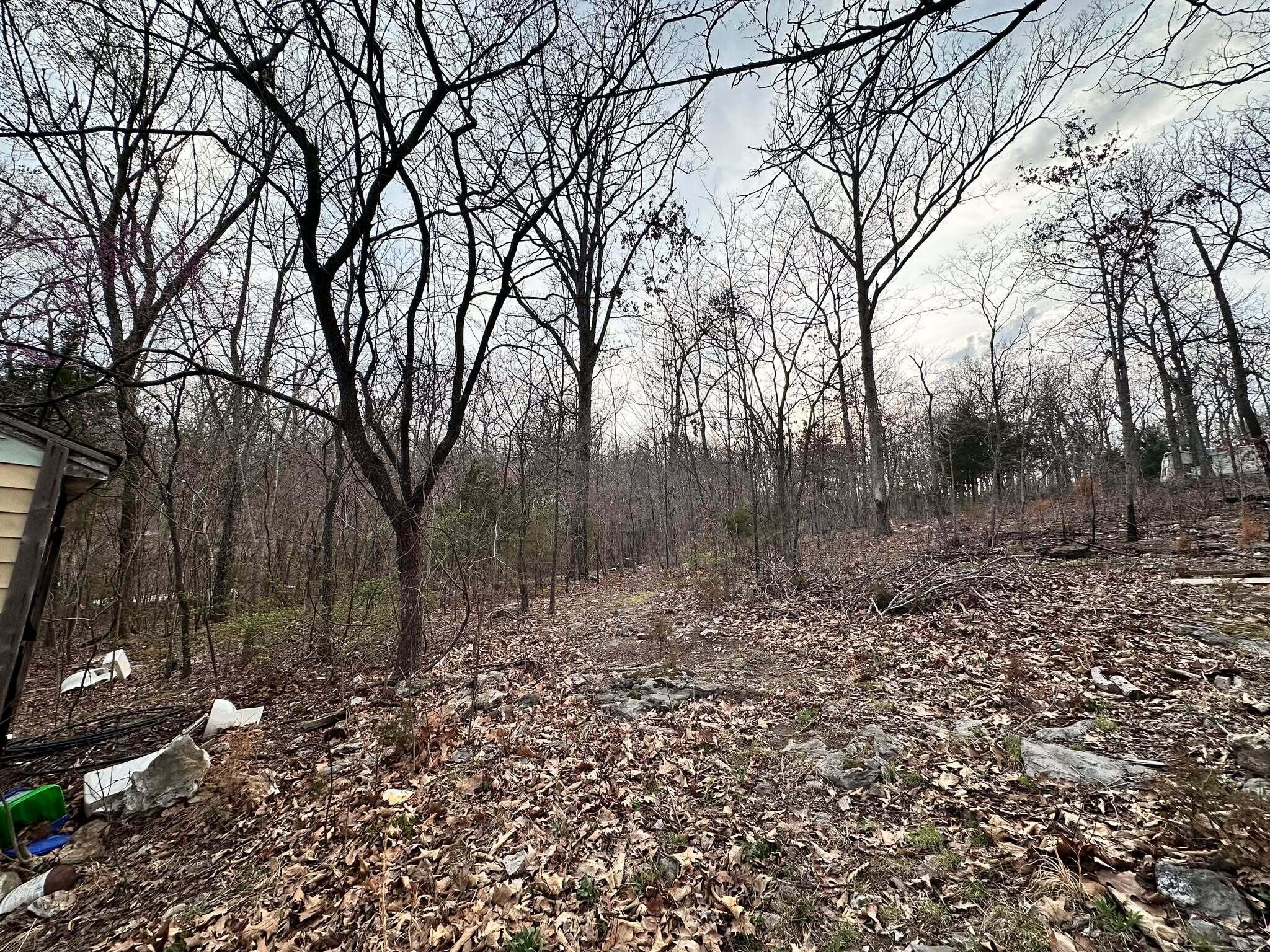 29743 Glendale Road Property Photo 7