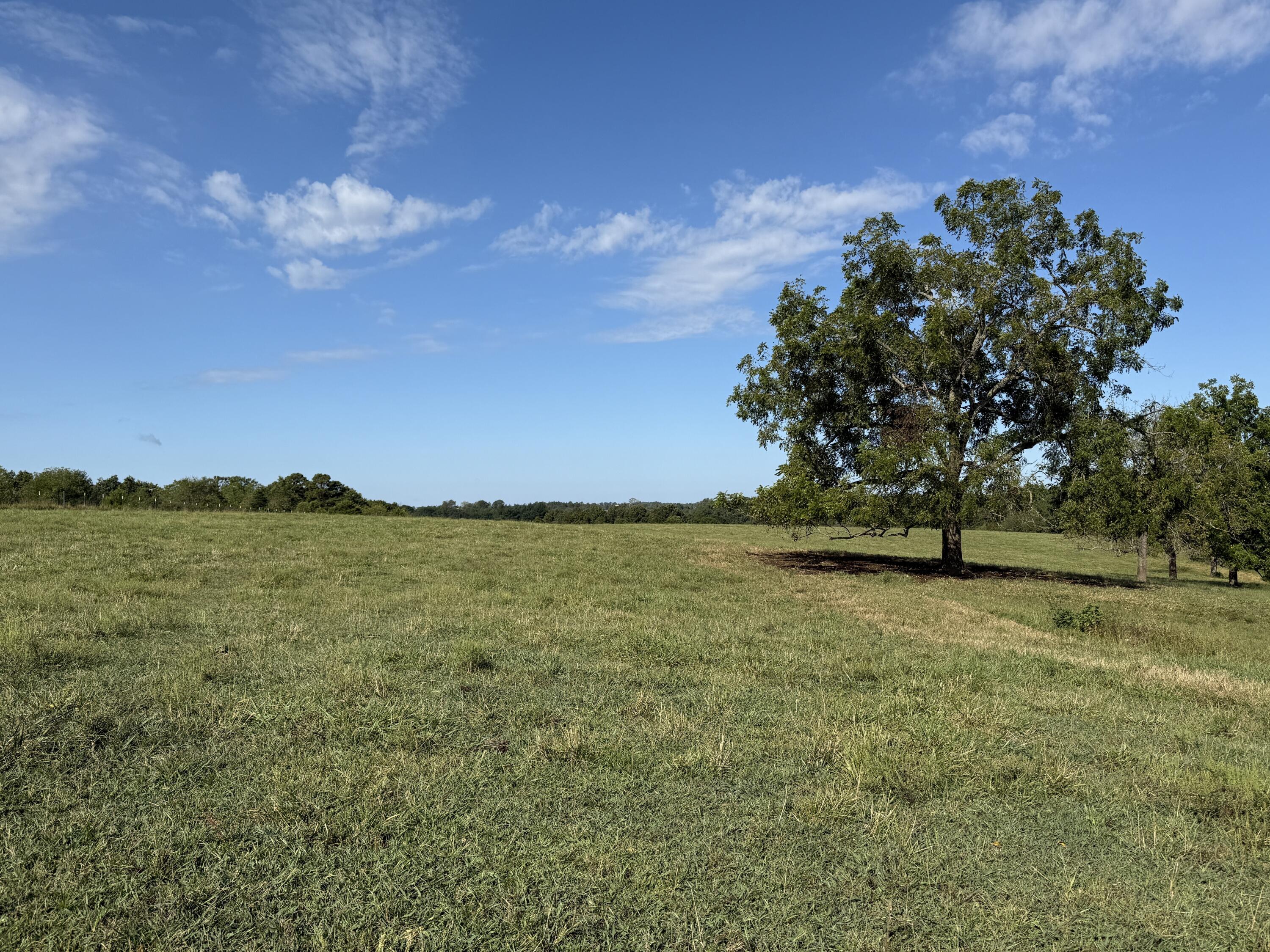 Rr 63 Box 680 Property Photo 2