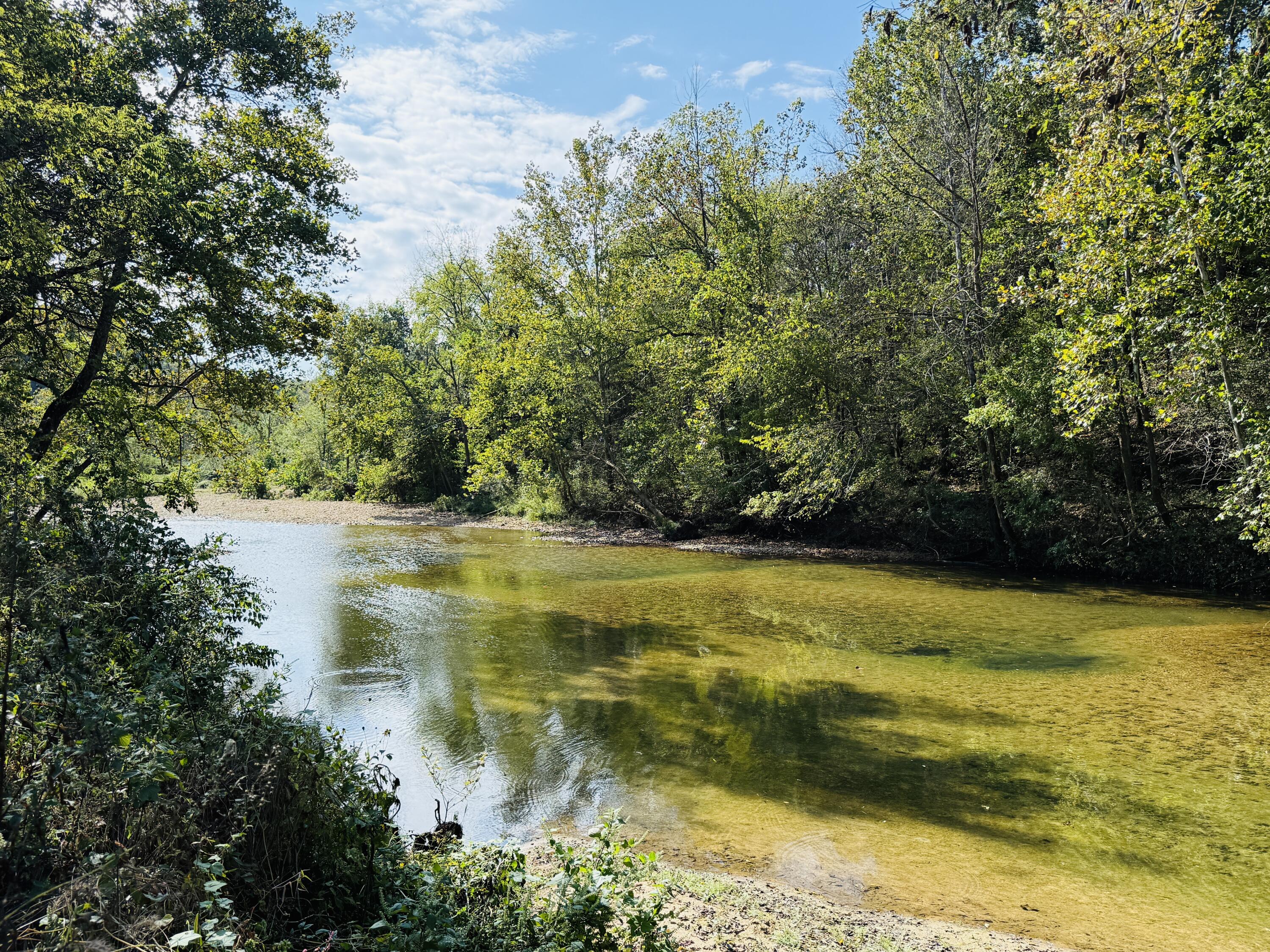 Rr 63 Box 680 Property Photo 3