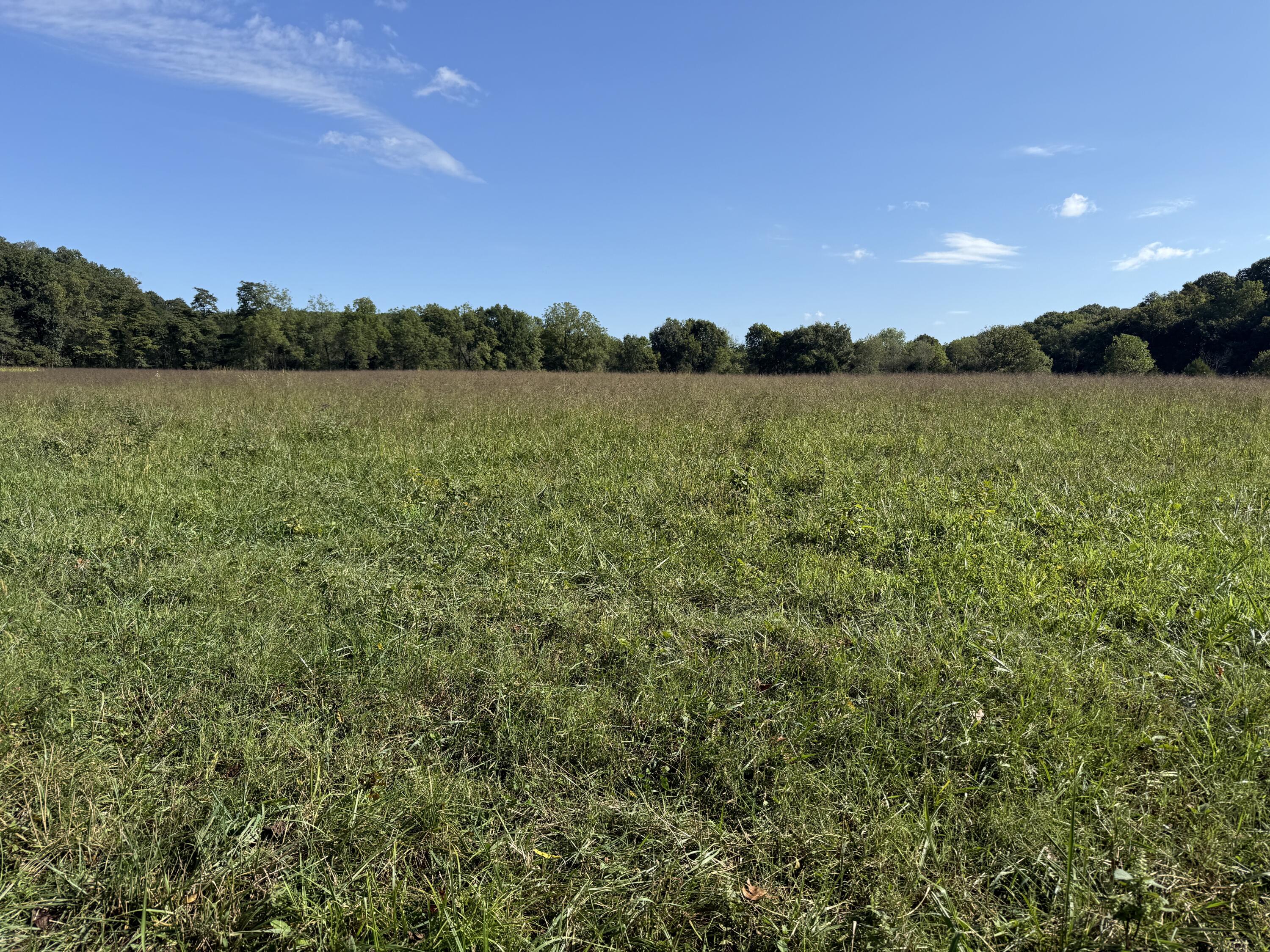 Rr 63 Box 680 Property Photo 5