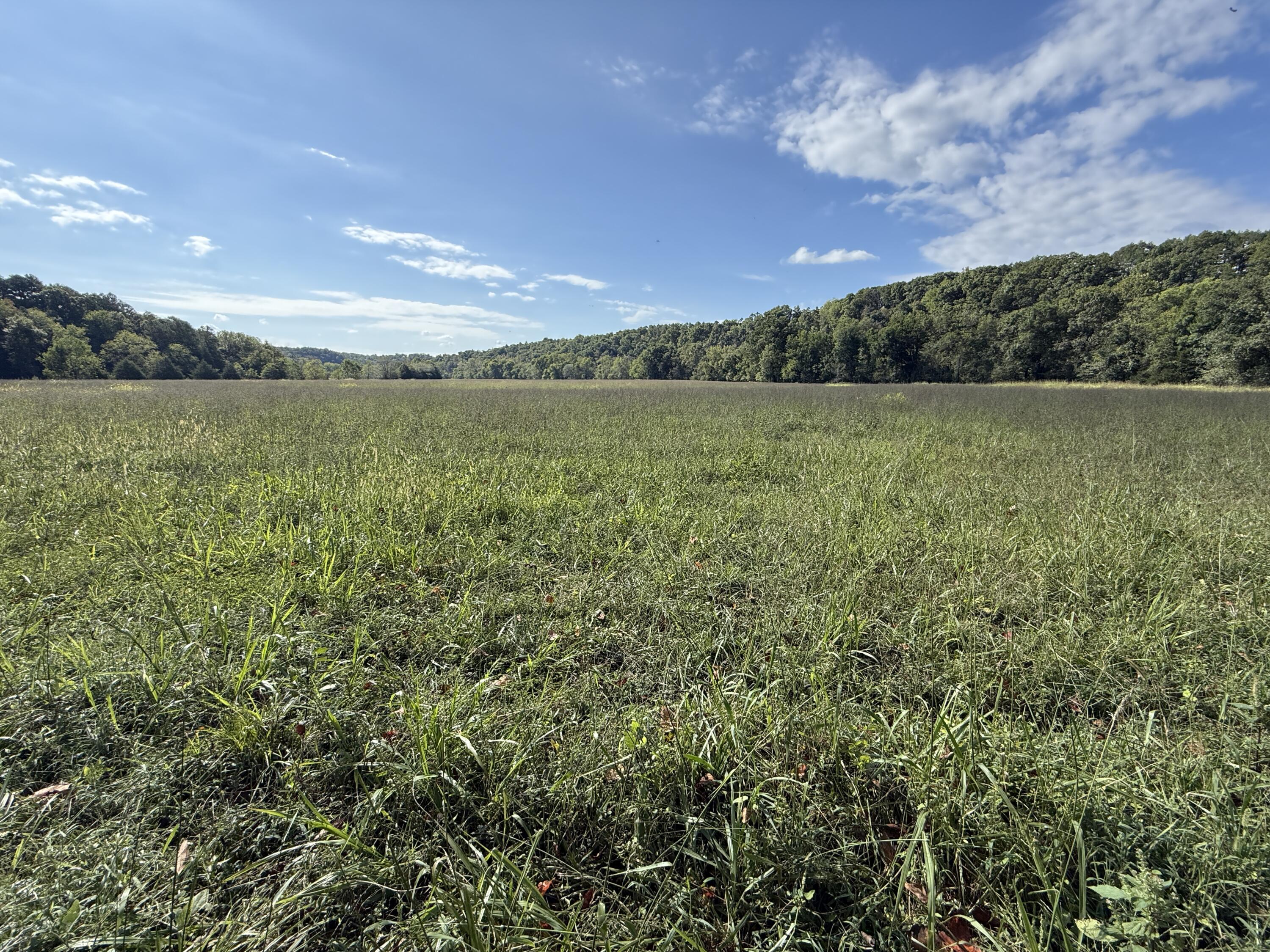 Rr 63 Box 680 Property Photo 6