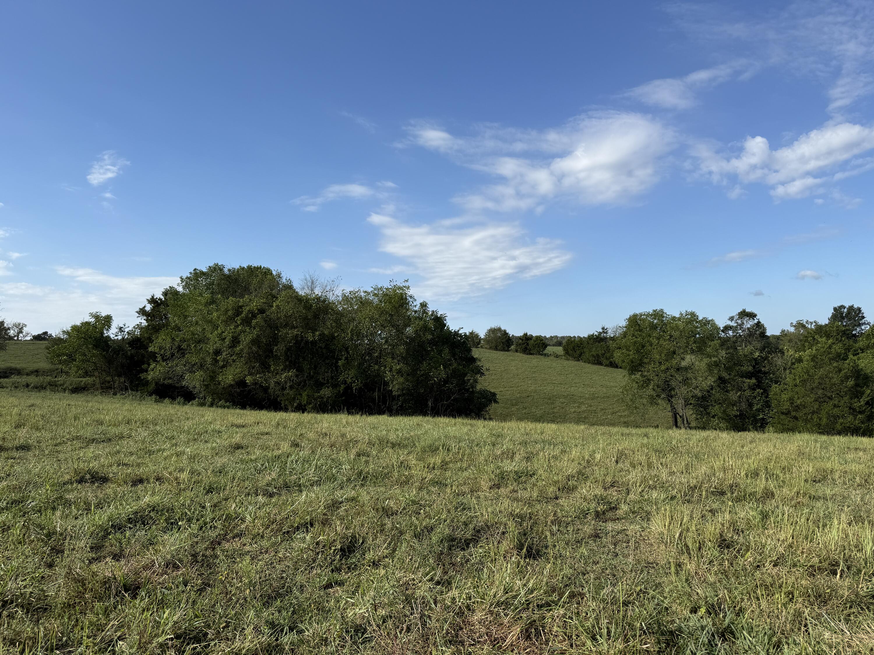Rr 63 Box 680 Property Photo 7
