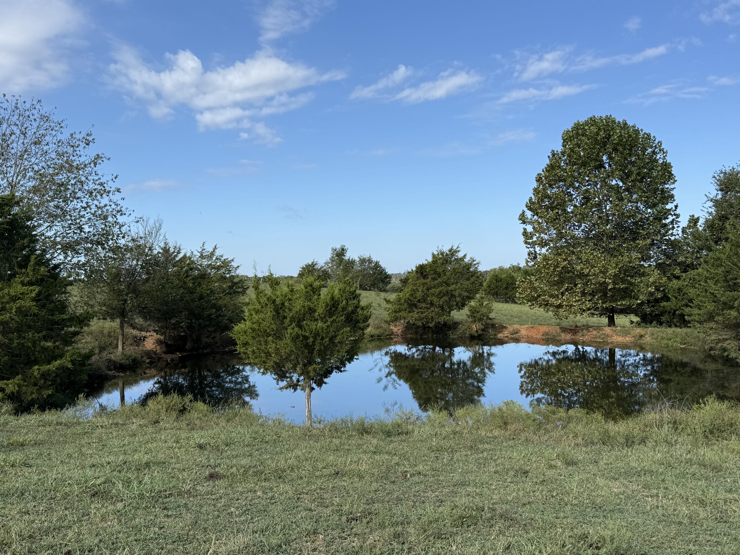 Rr 63 Box 680 Property Photo 8