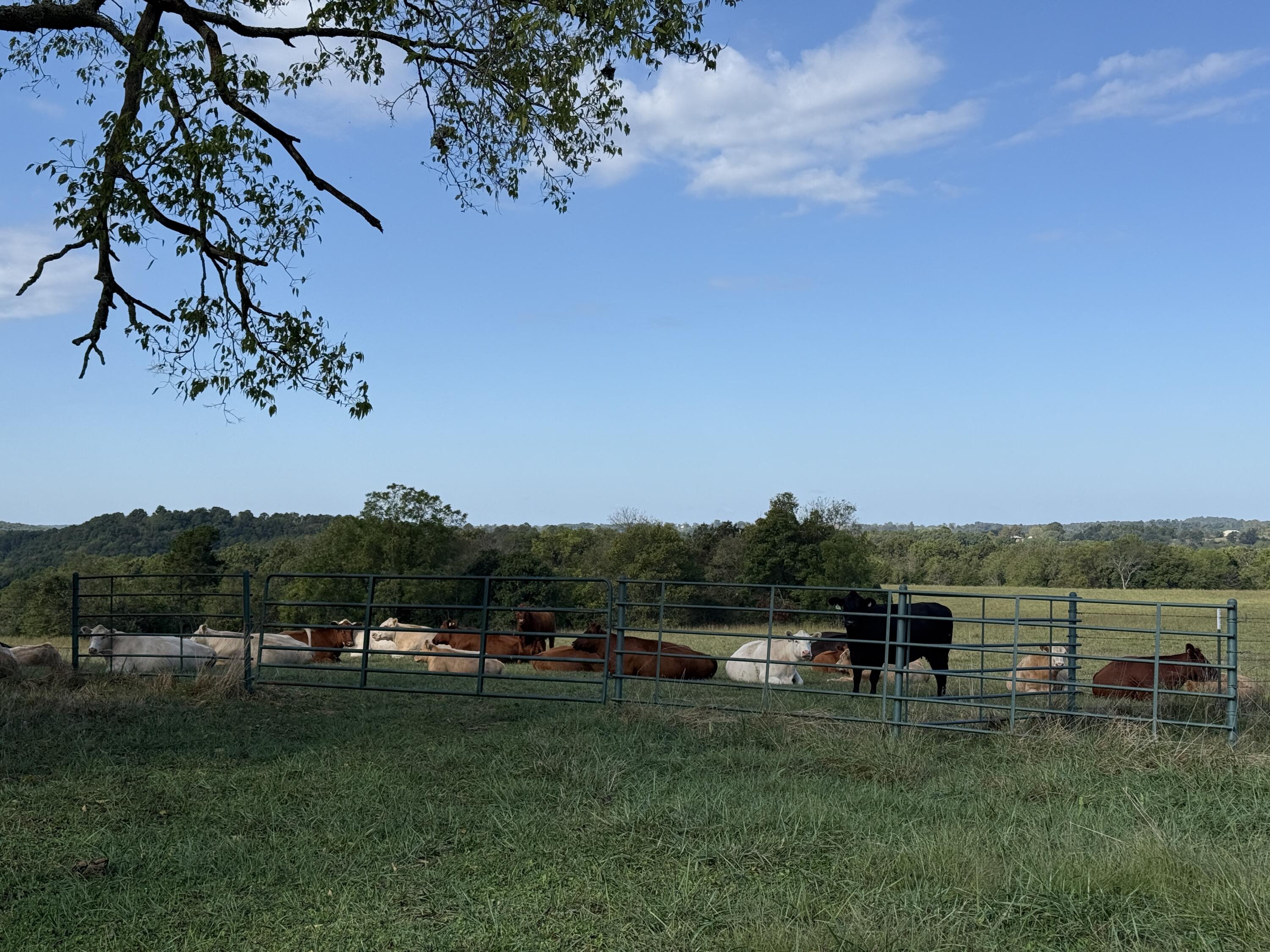 Rr 63 Box 680 Property Photo 9