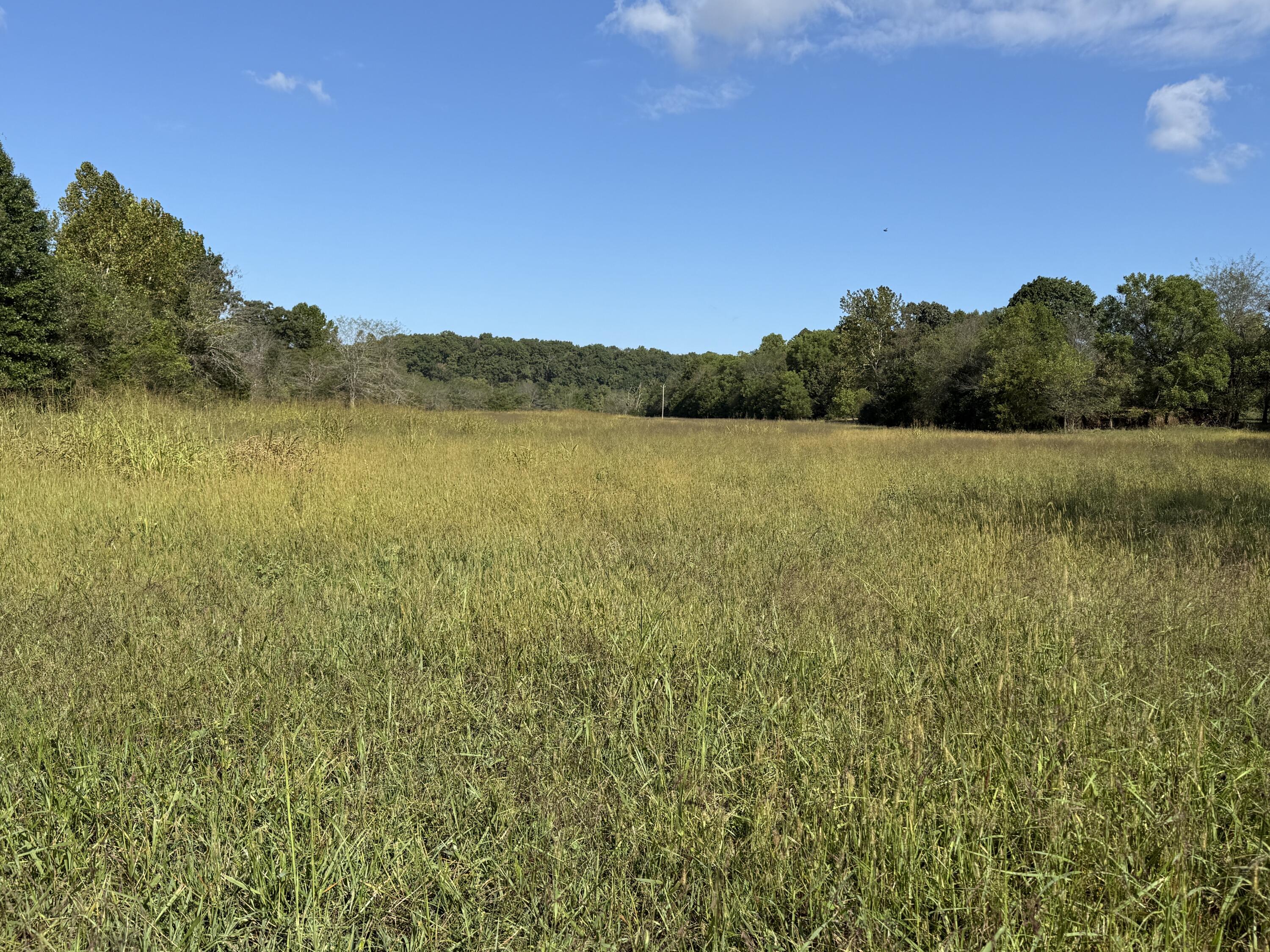 Rr 63 Box 680 Property Photo 15