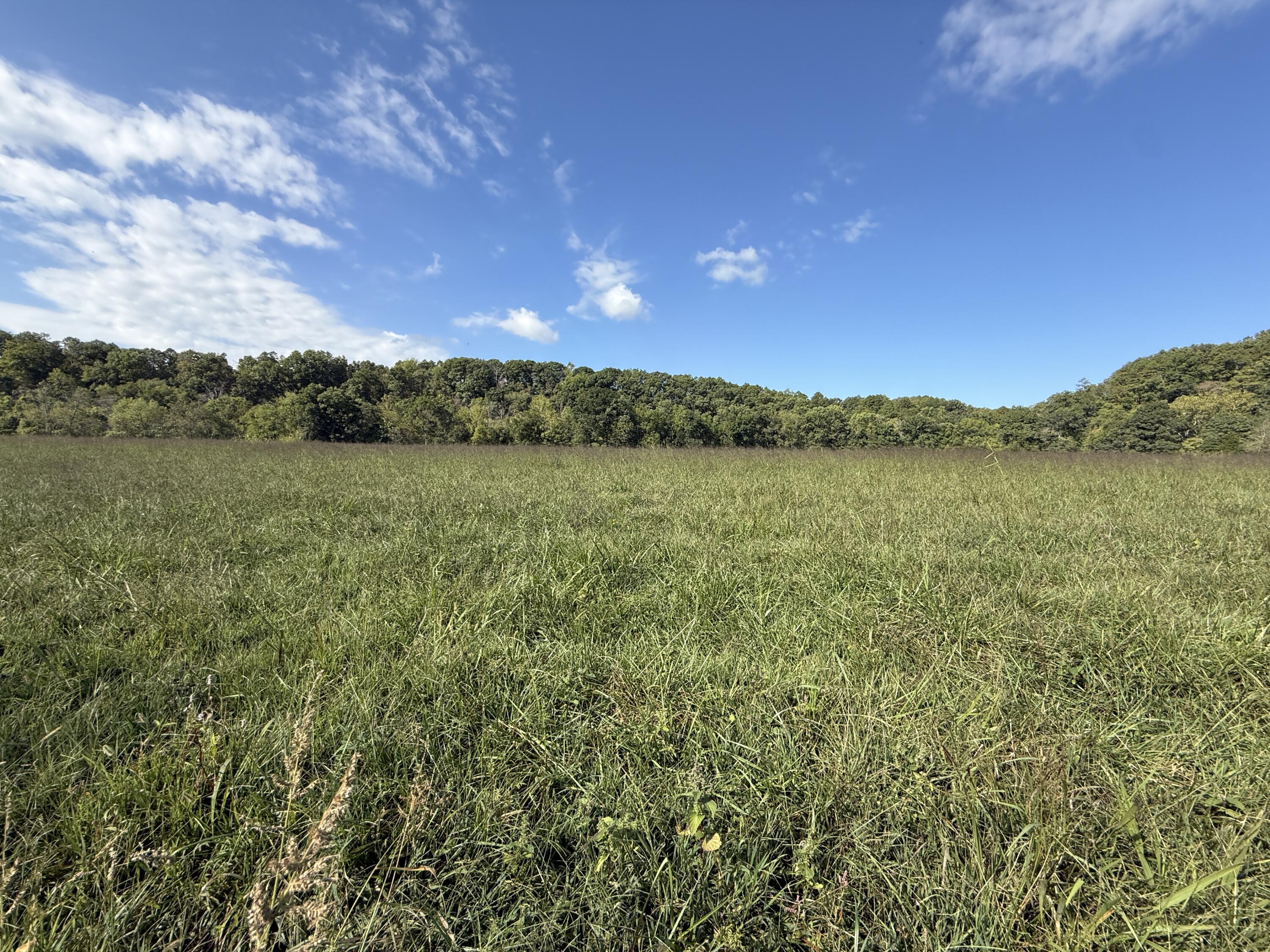 Rr 63 Box 680 Property Photo 16