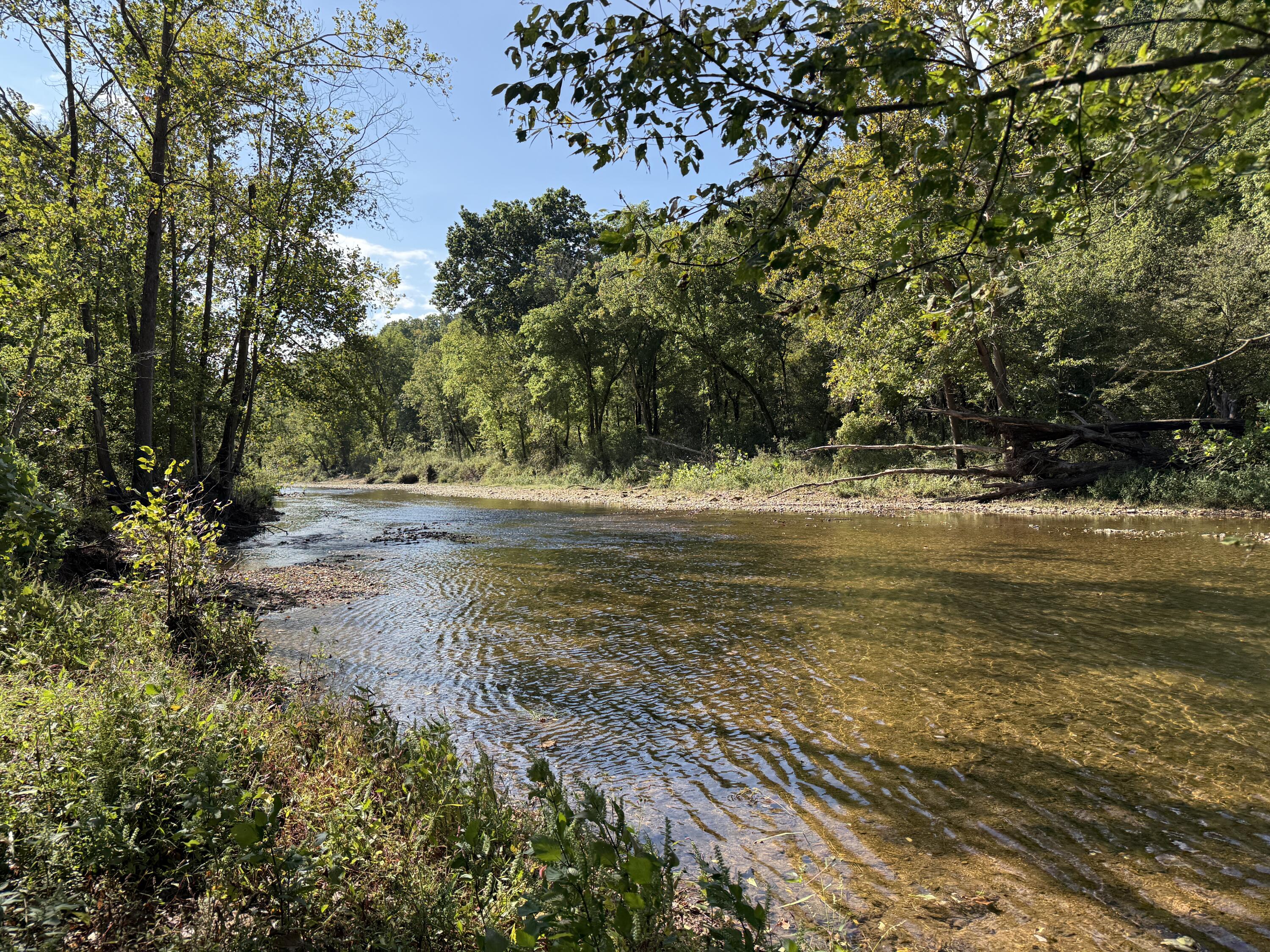 Rr 63 Box 680 Property Photo 17
