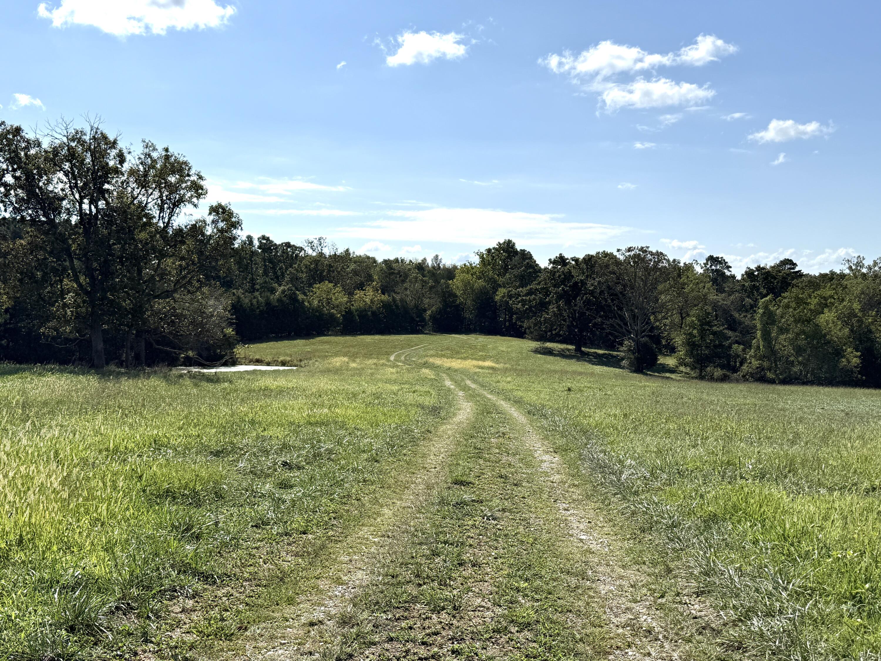 Rr 63 Box 680 Property Photo 19