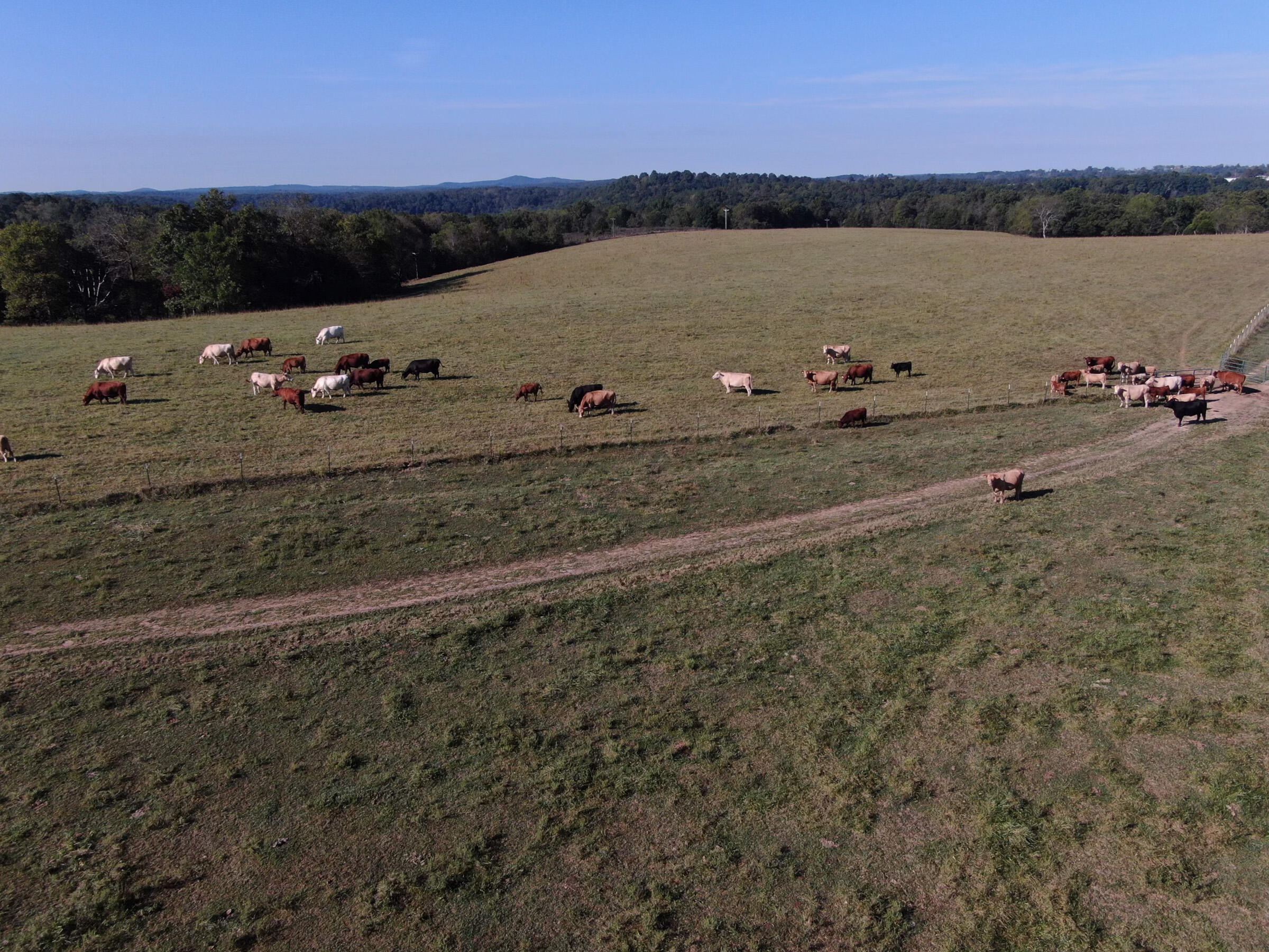 Rr 63 Box 680 Property Photo 20