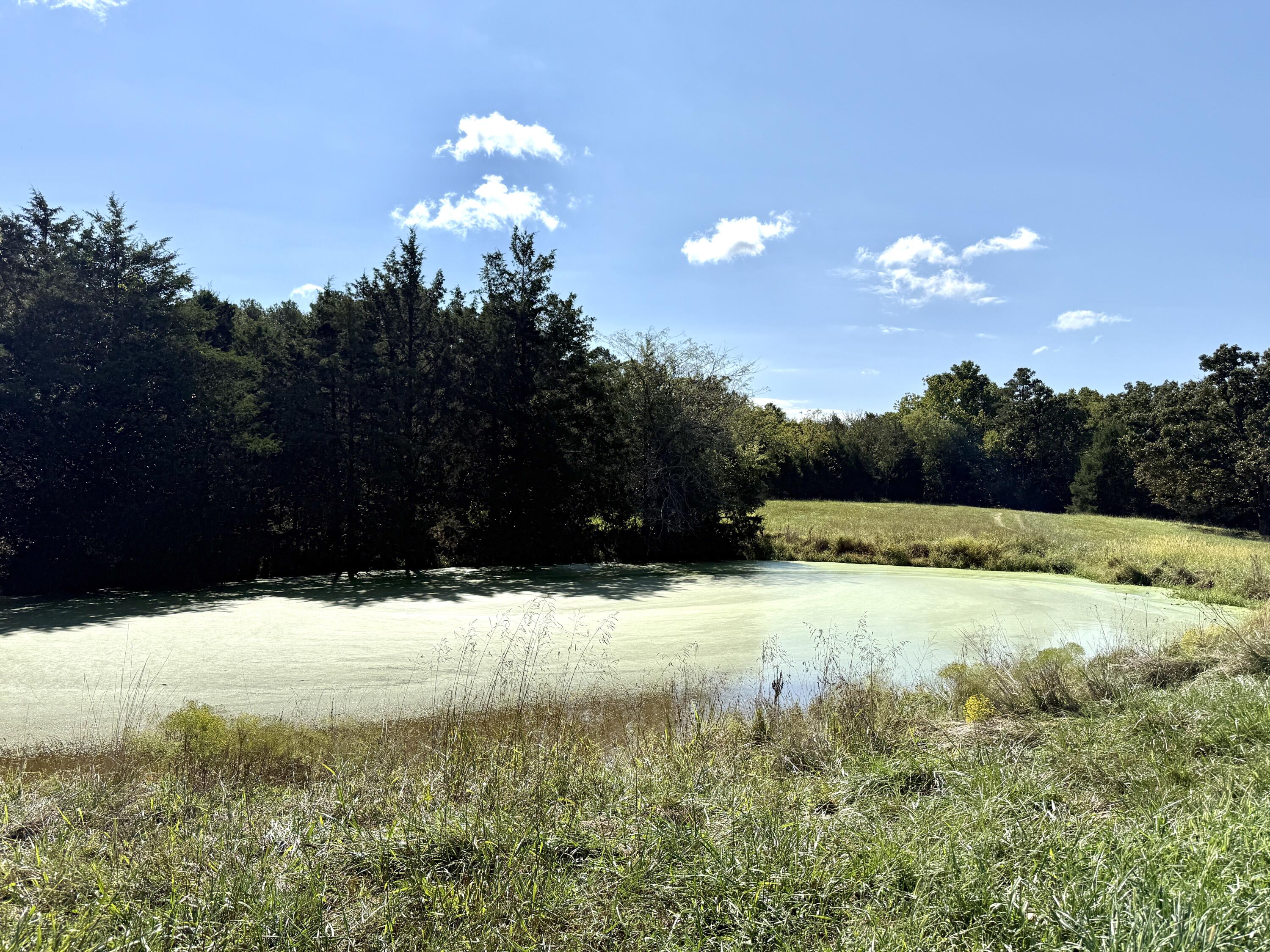 Rr 63 Box 680 Property Photo 22