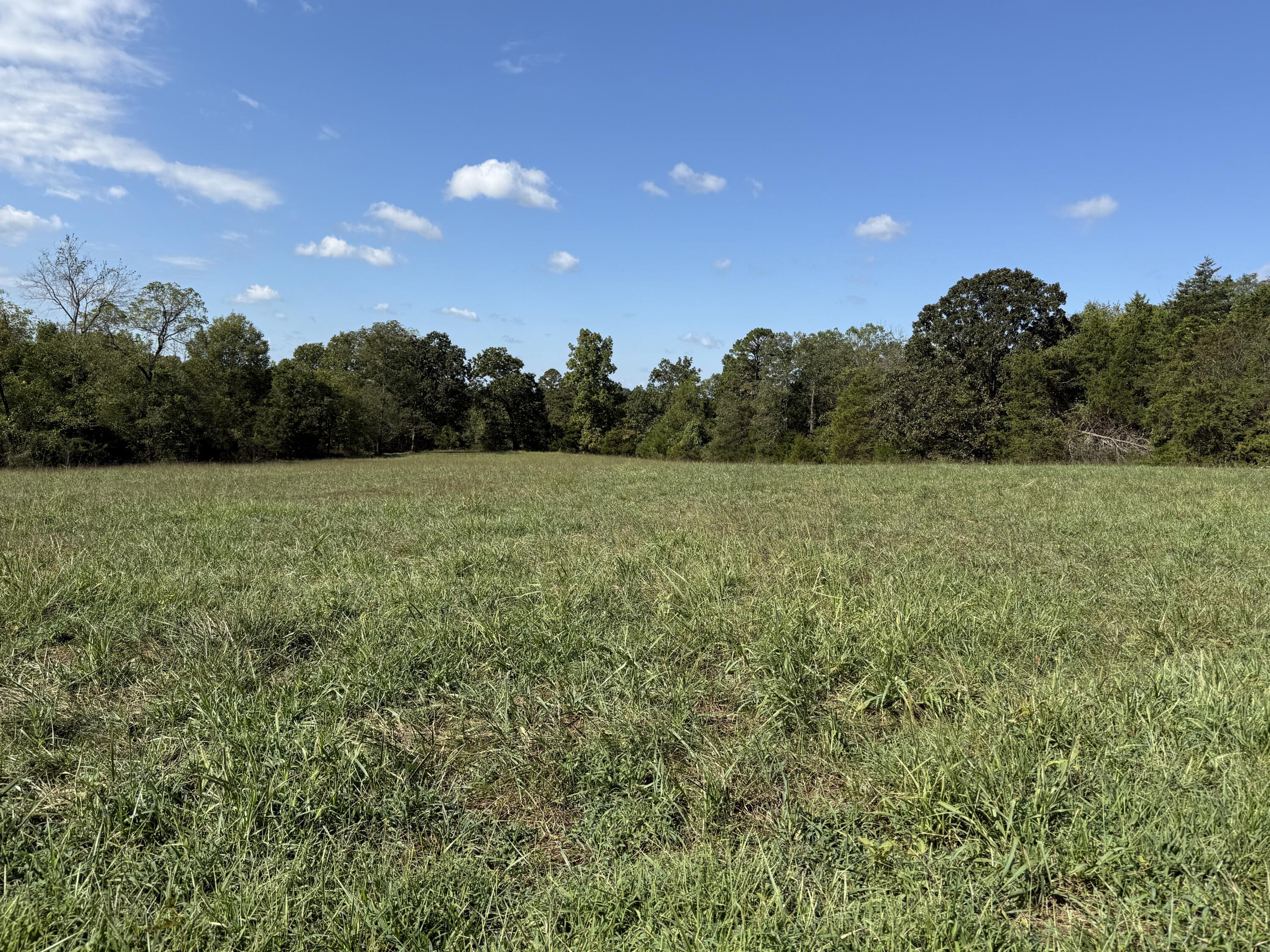 Rr 63 Box 680 Property Photo 23