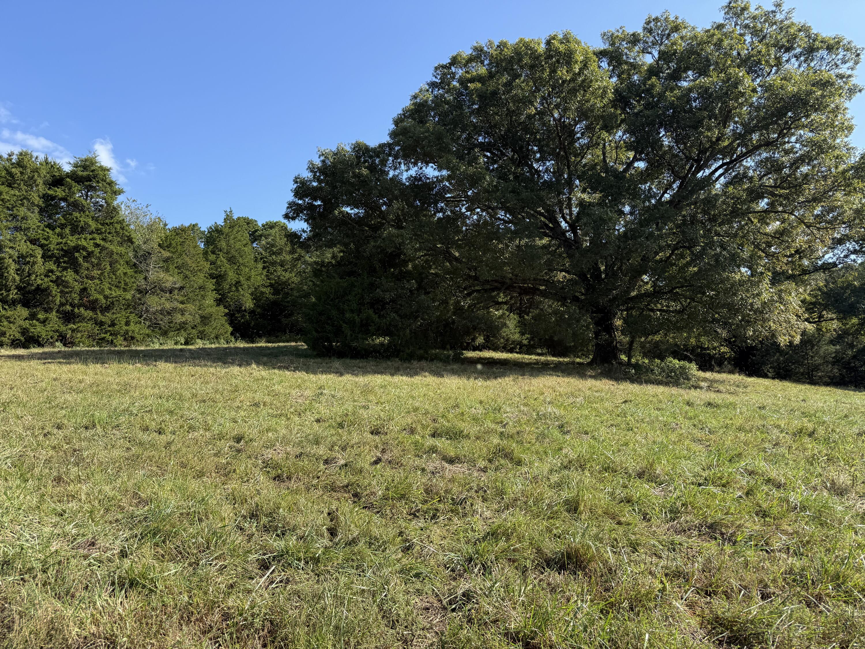 Rr 63 Box 680 Property Photo 25