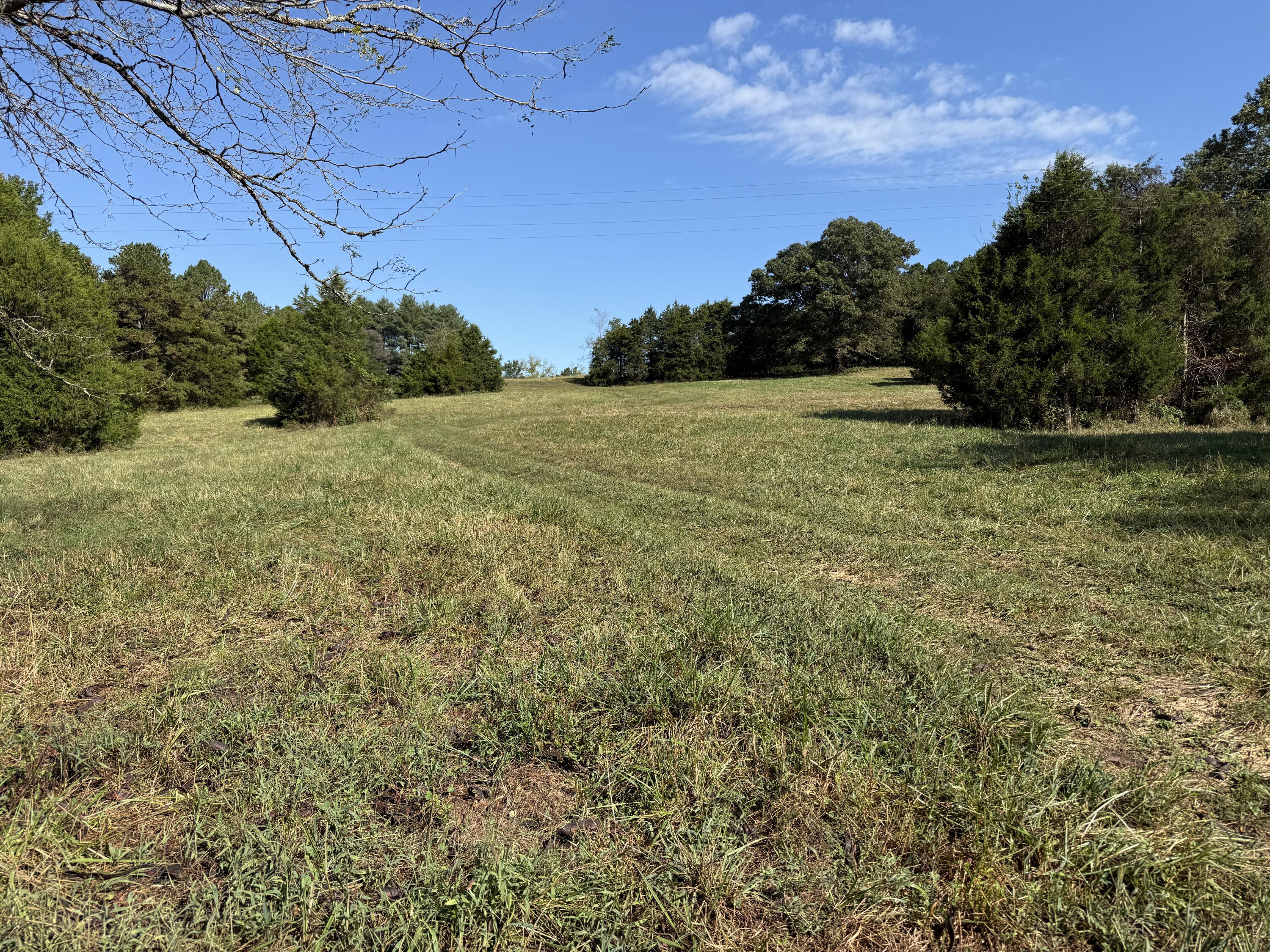 Rr 63 Box 680 Property Photo 26