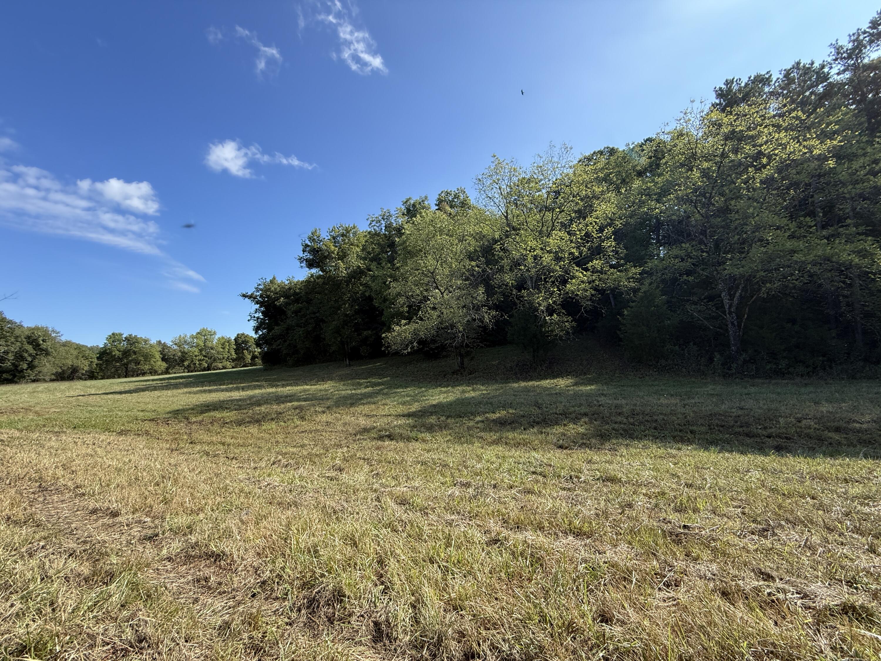 Rr 63 Box 680 Property Photo 28