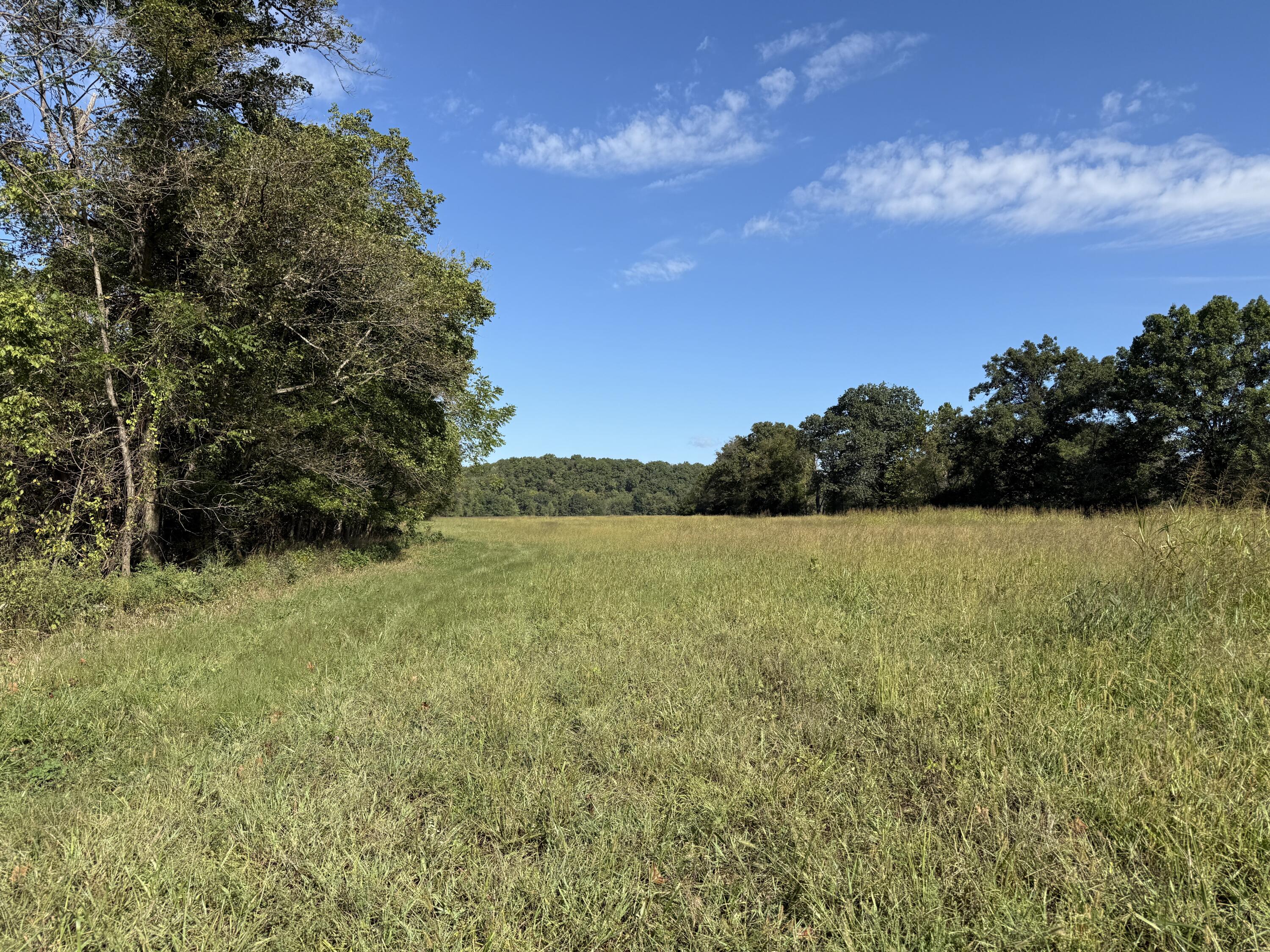 Rr 63 Box 680 Property Photo 29