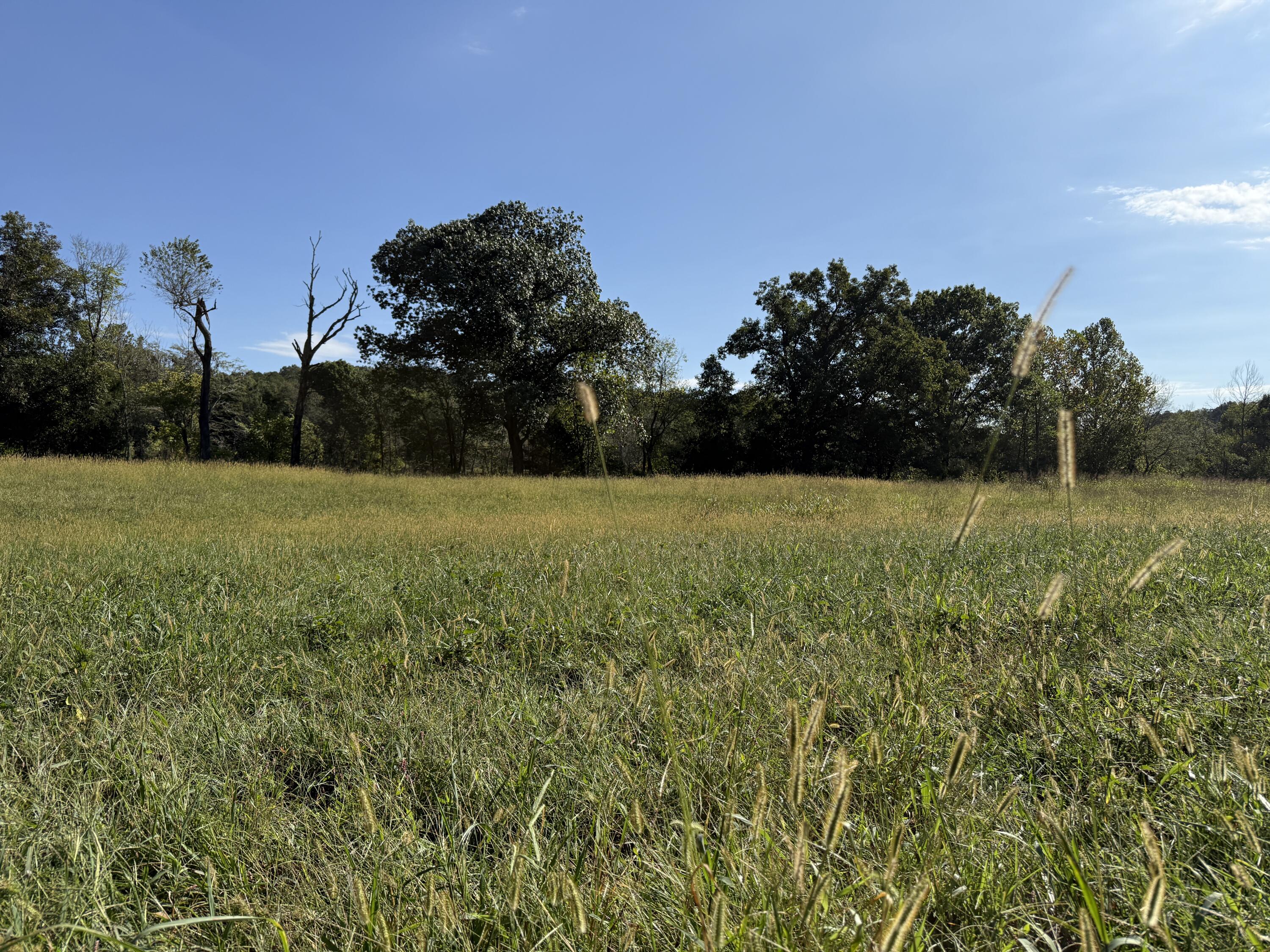 Rr 63 Box 680 Property Photo 30