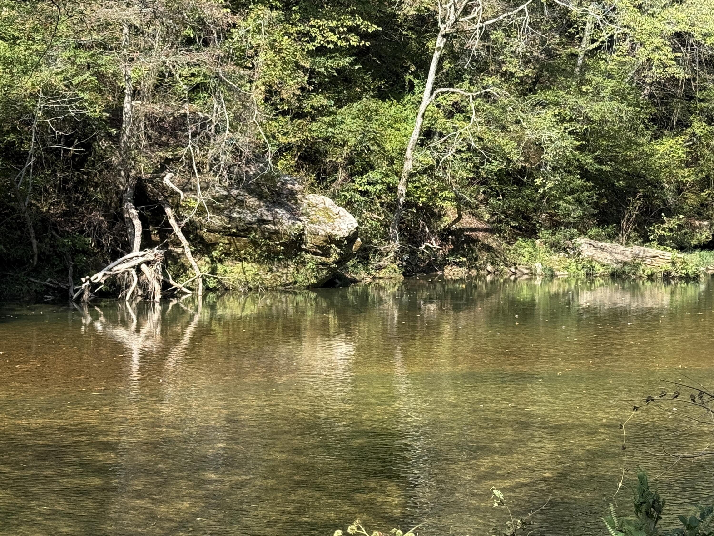 Rr 63 Box 680 Property Photo 33