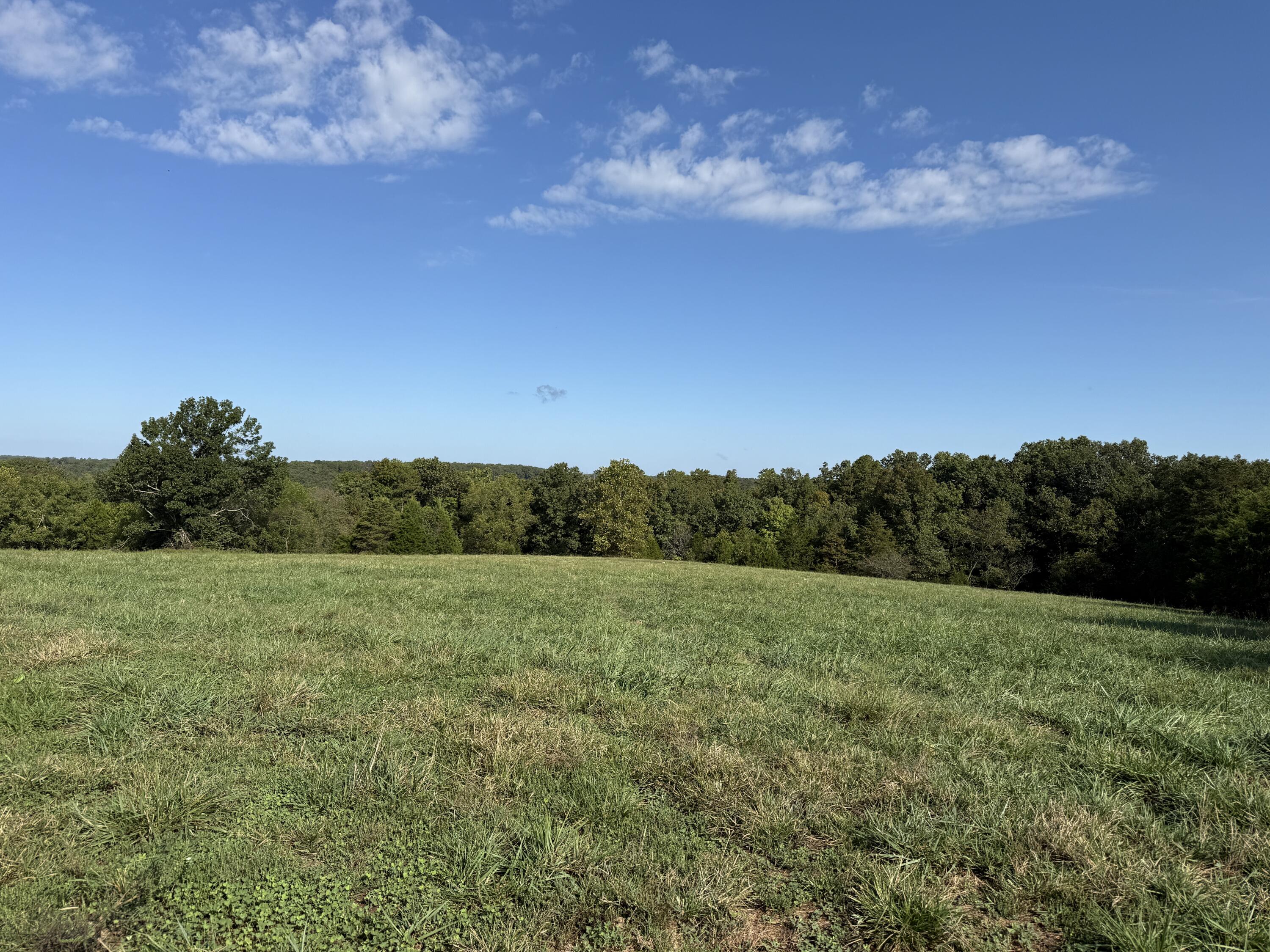 Rr 63 Box 680 Property Photo 34