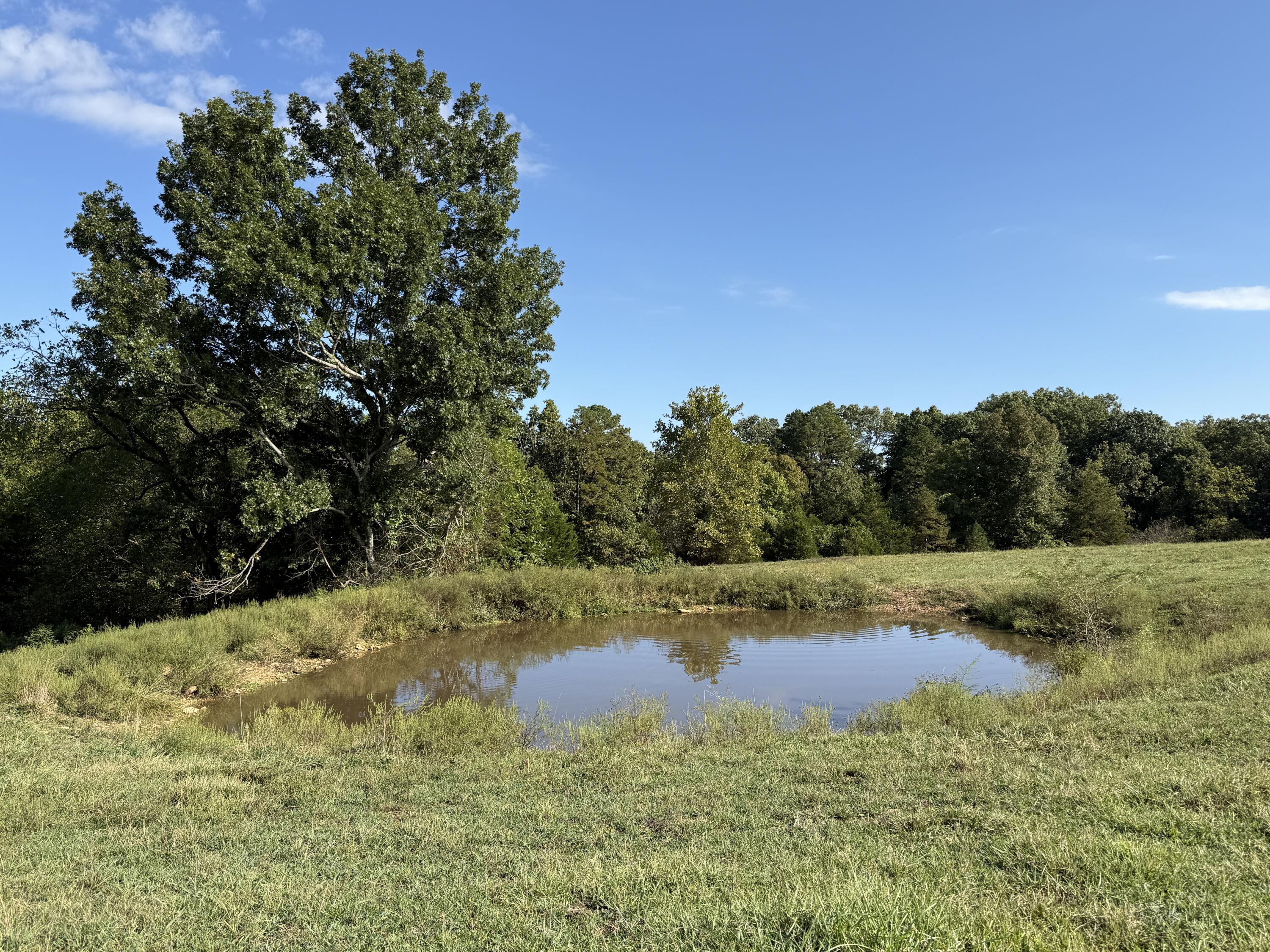 Rr 63 Box 680 Property Photo 35