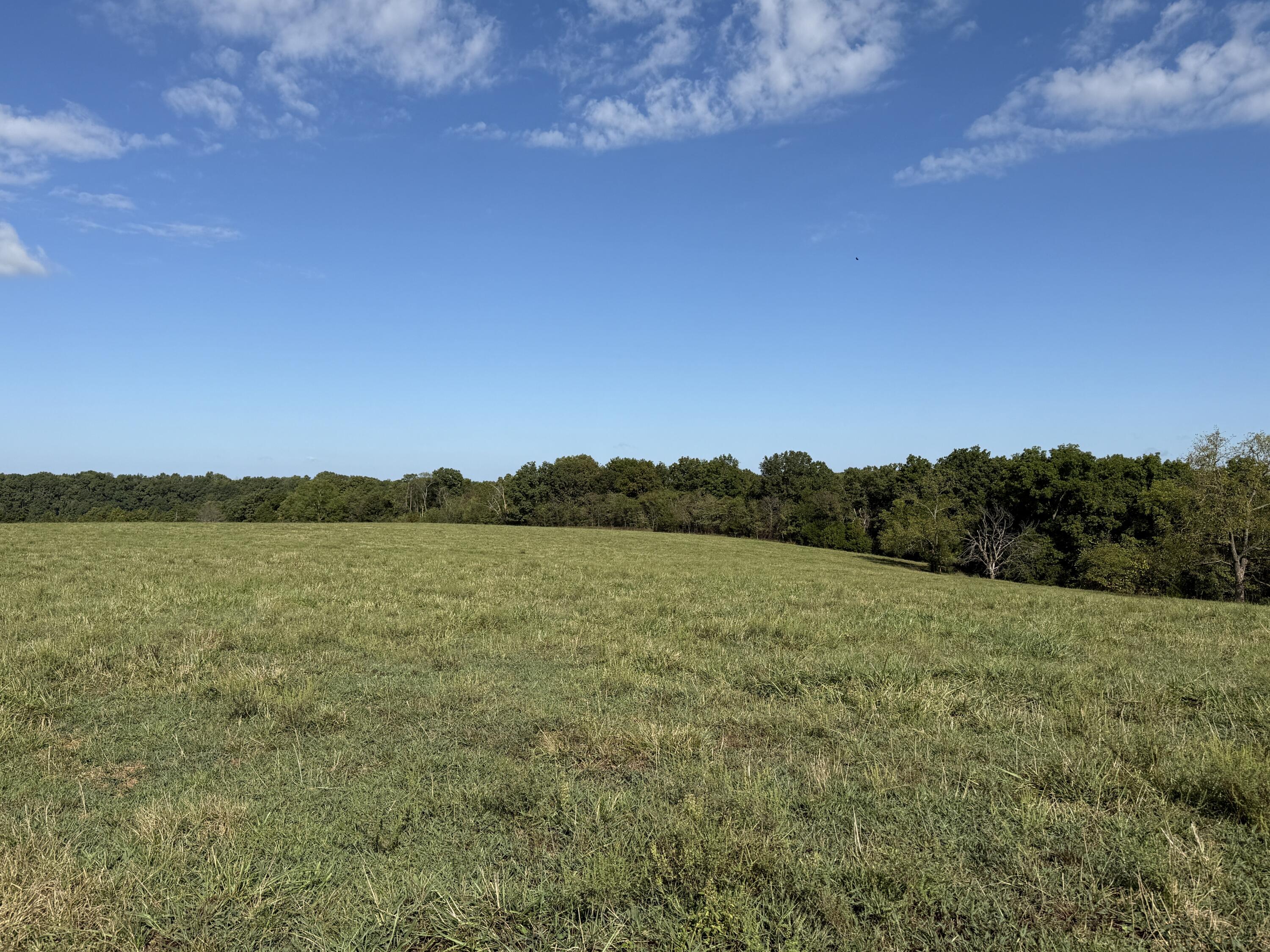 Rr 63 Box 680 Property Photo 36