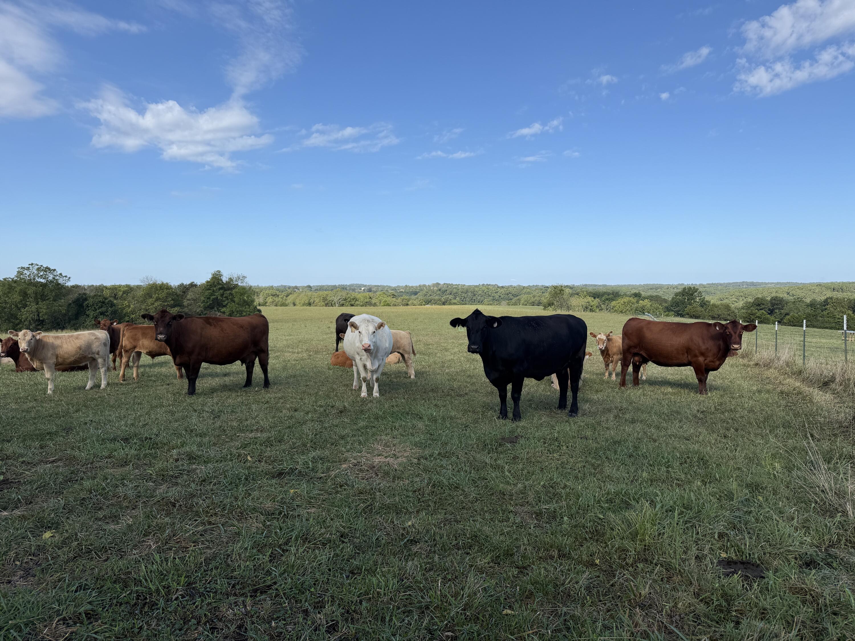 Rr 63 Box 680 Property Photo 37