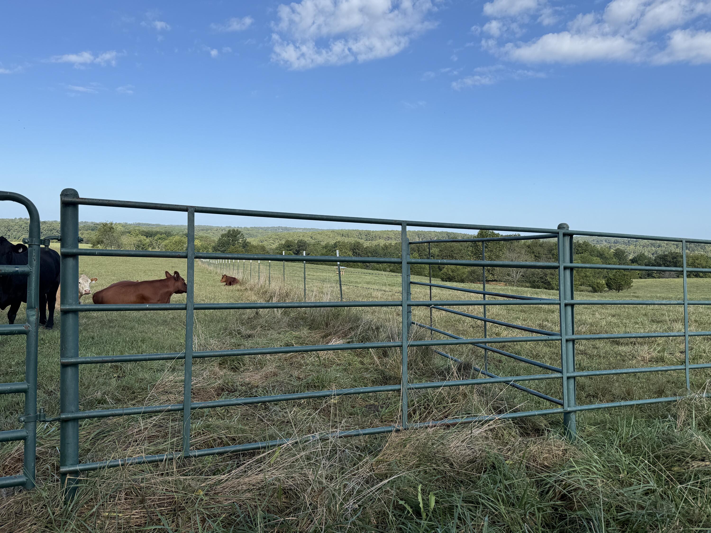 Rr 63 Box 680 Property Photo 38