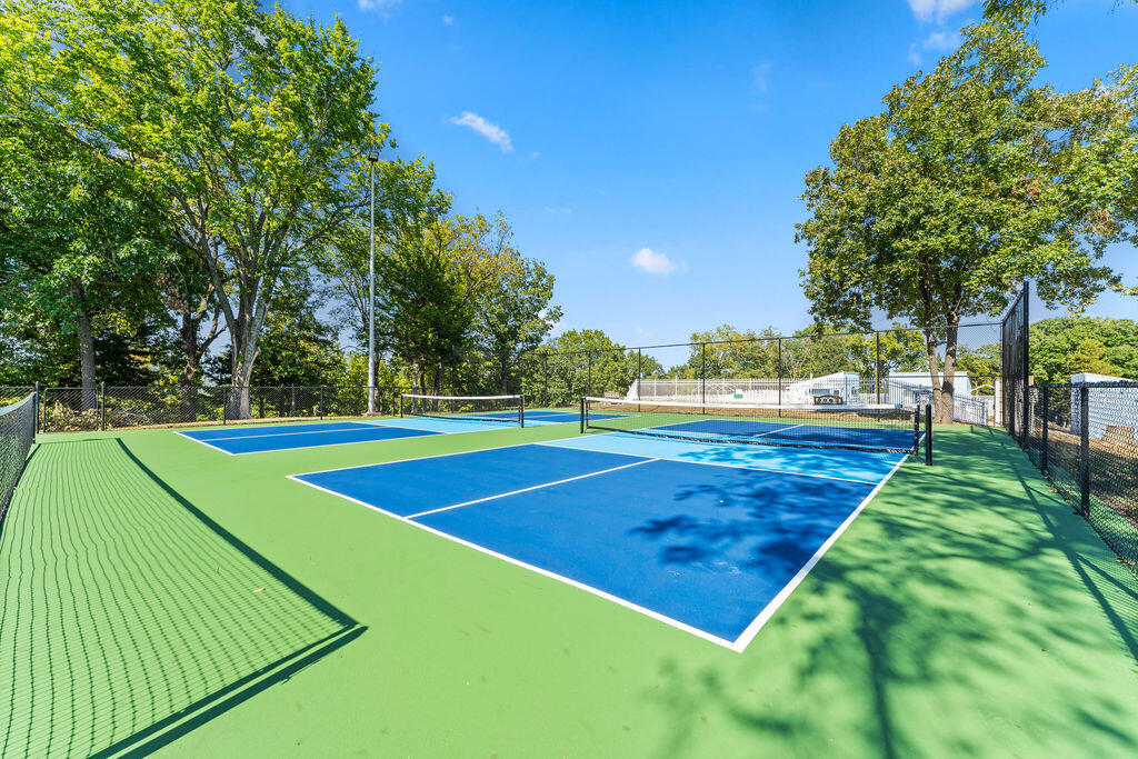 541 Ozark Mountain Resort Drive Property Photo 5